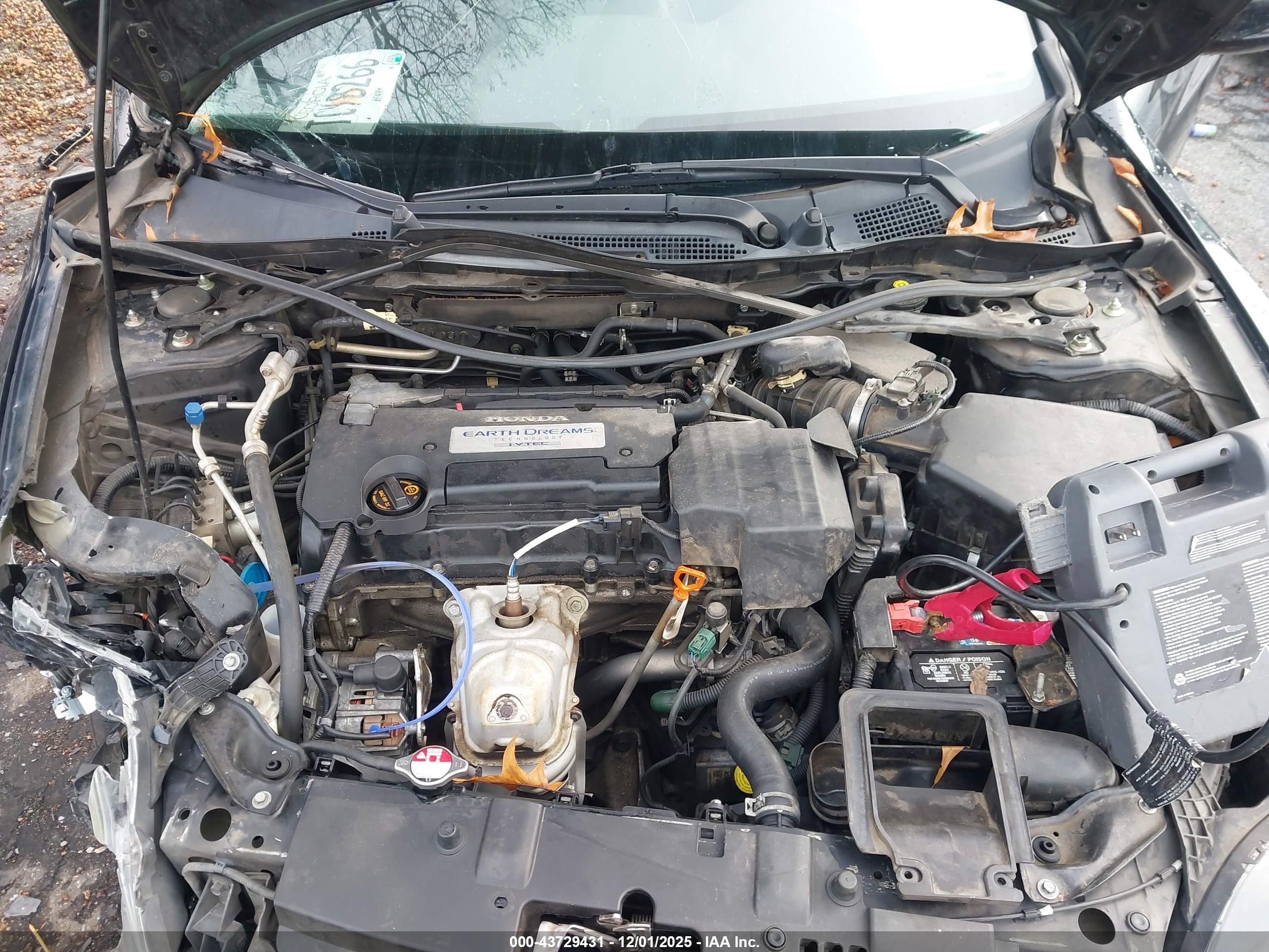 HONDA ACCORD image 10