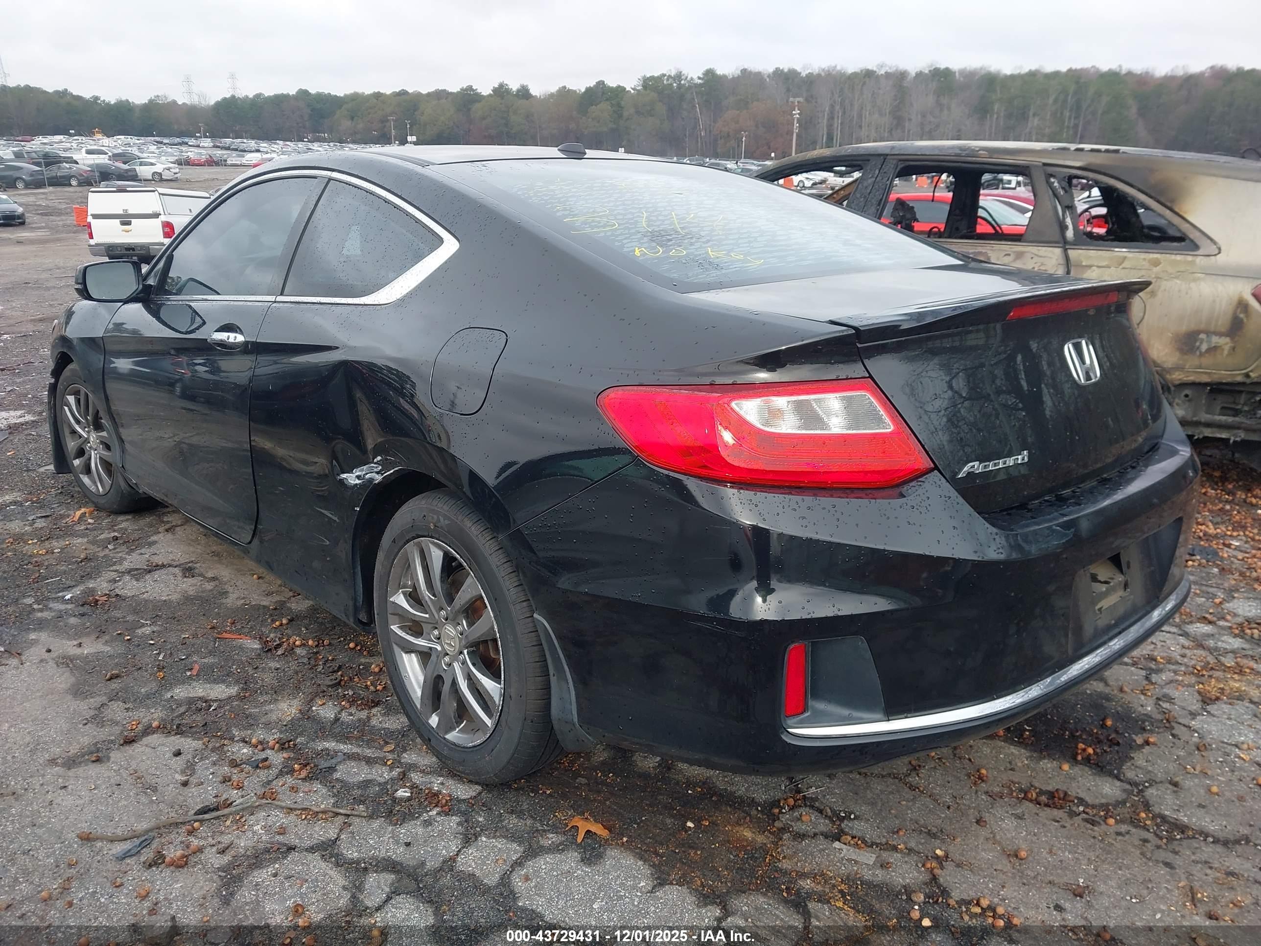 HONDA ACCORD image 3
