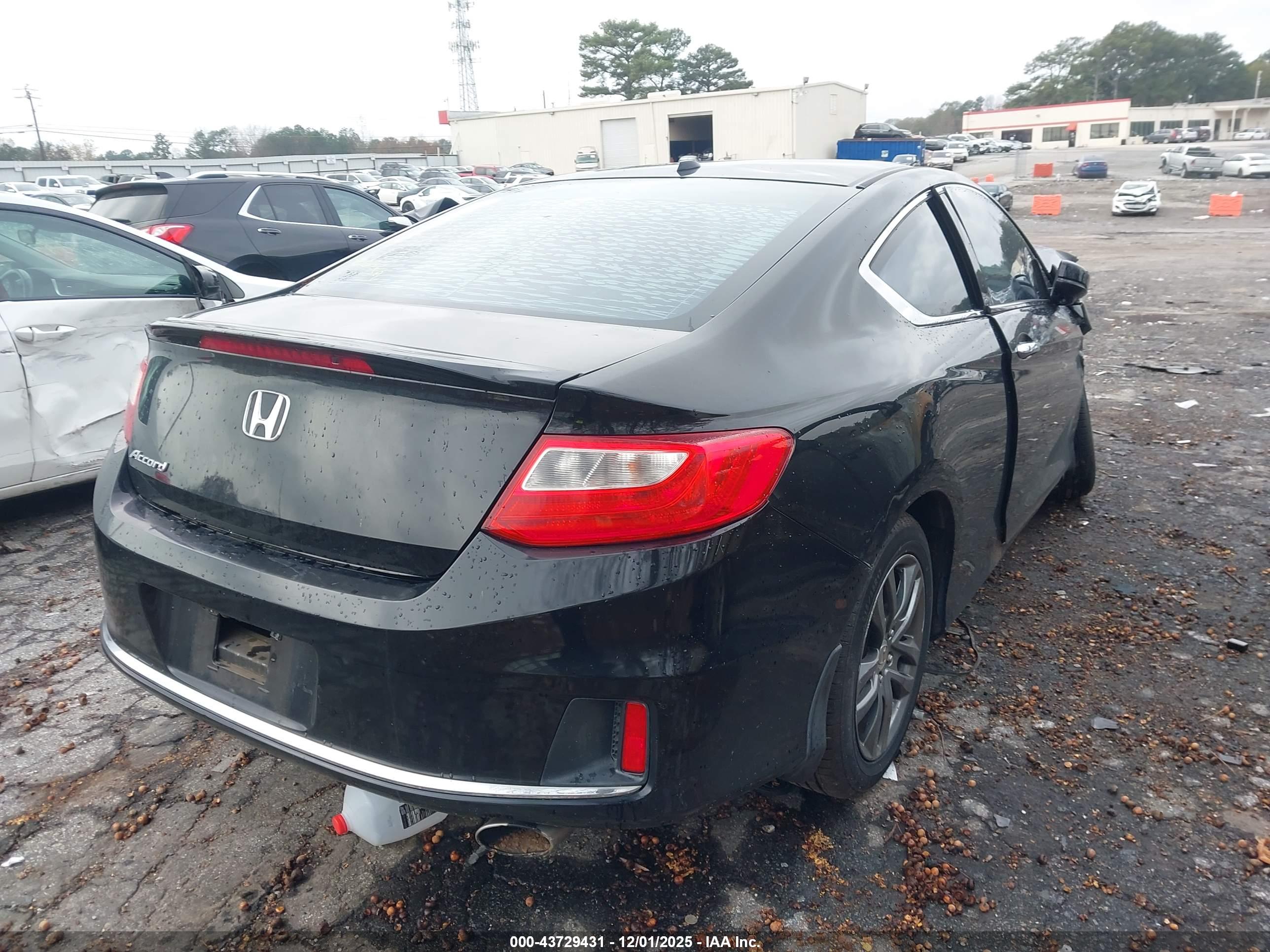 HONDA ACCORD image 4