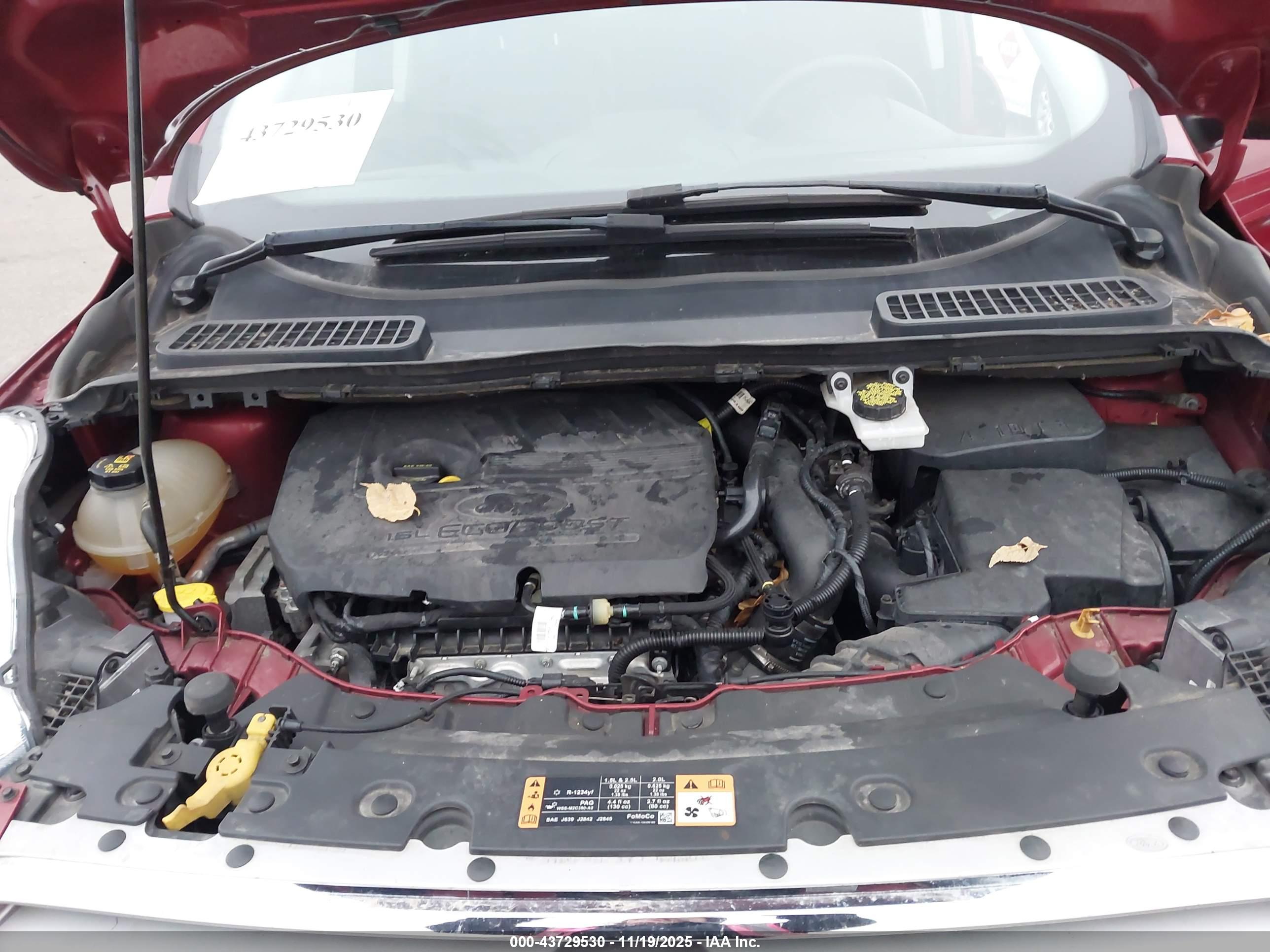 FORD ESCAPE image 10