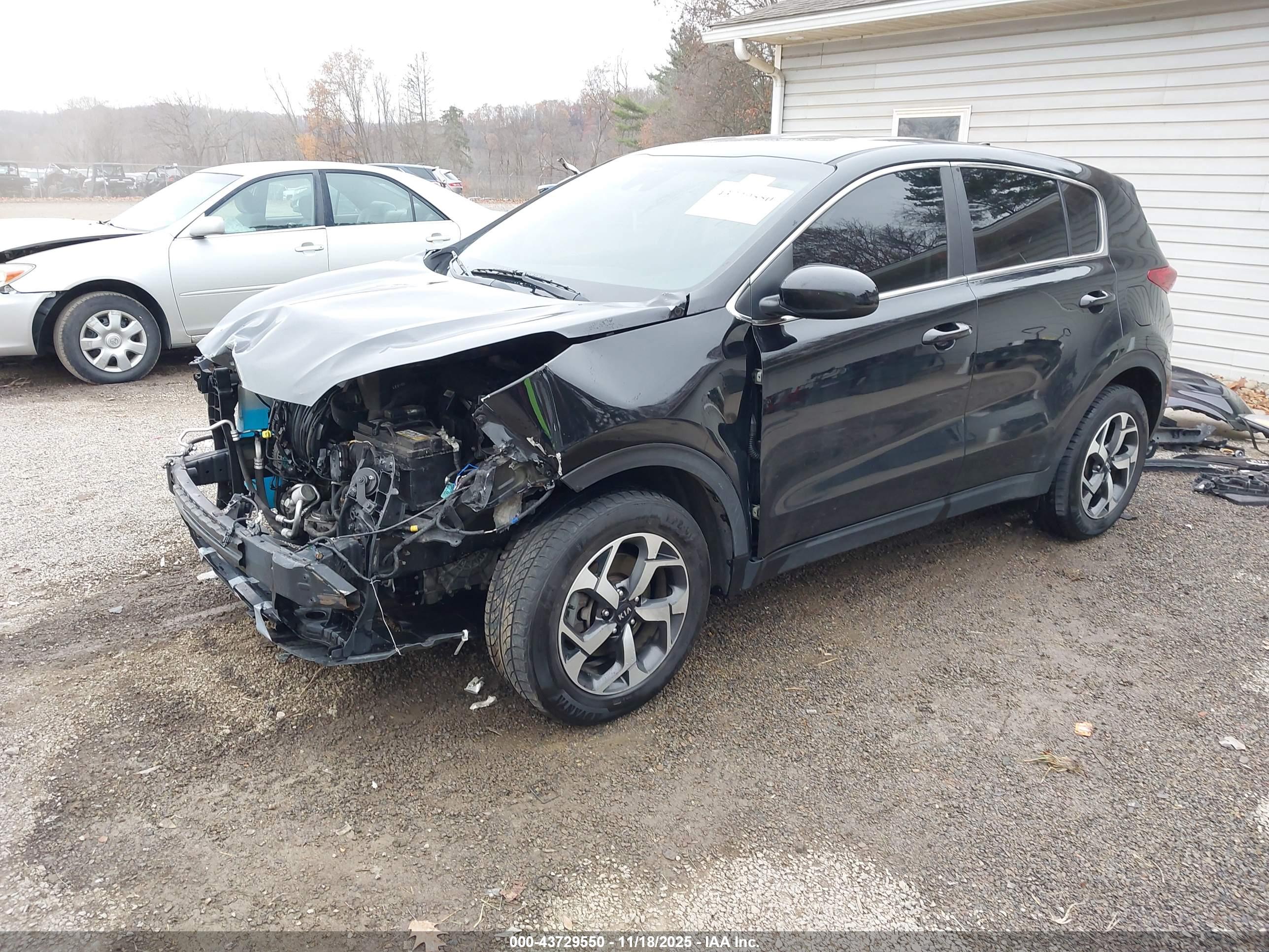 KIA SPORTAGE image 2