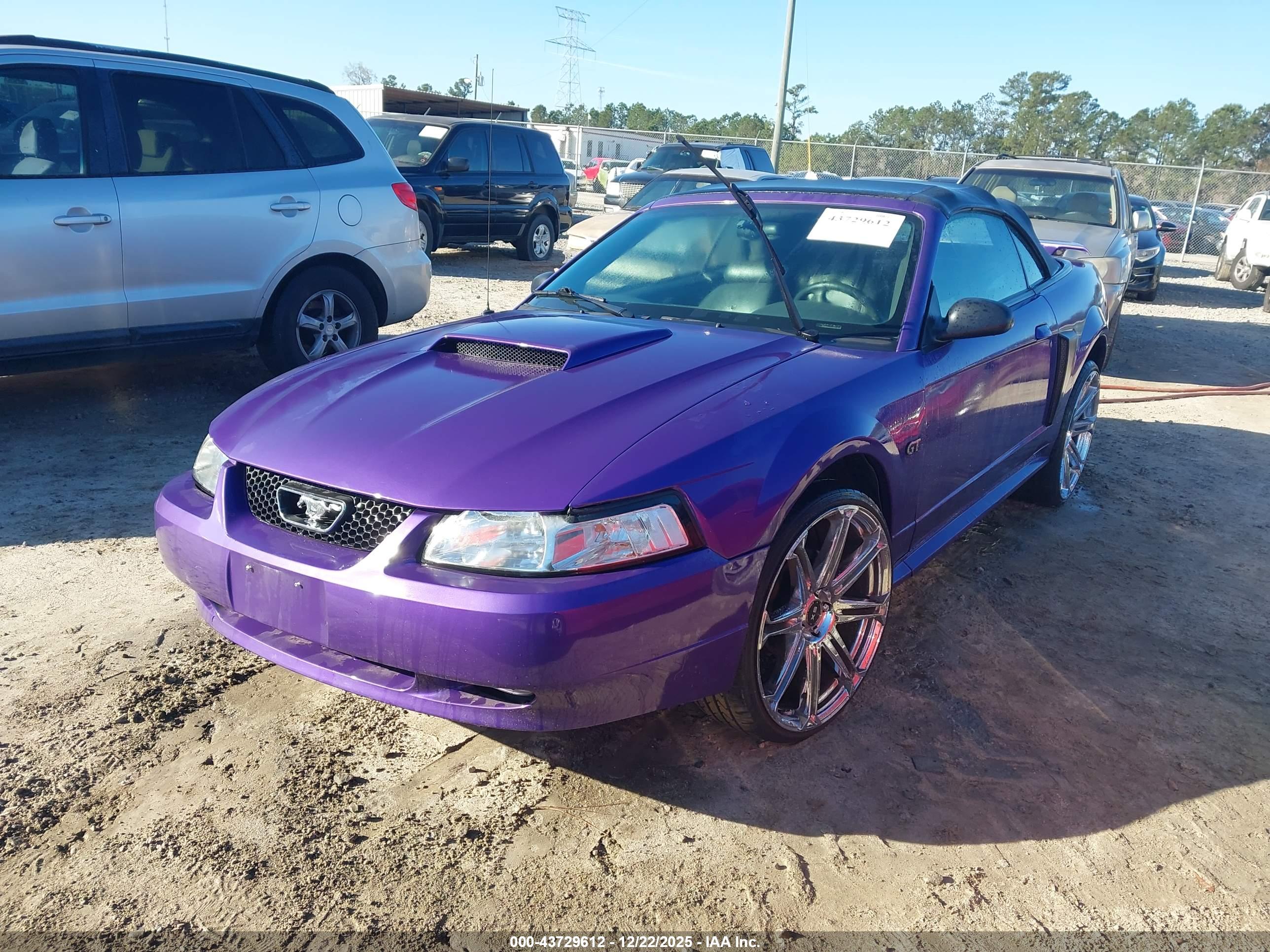 FORD MUSTANG image 2