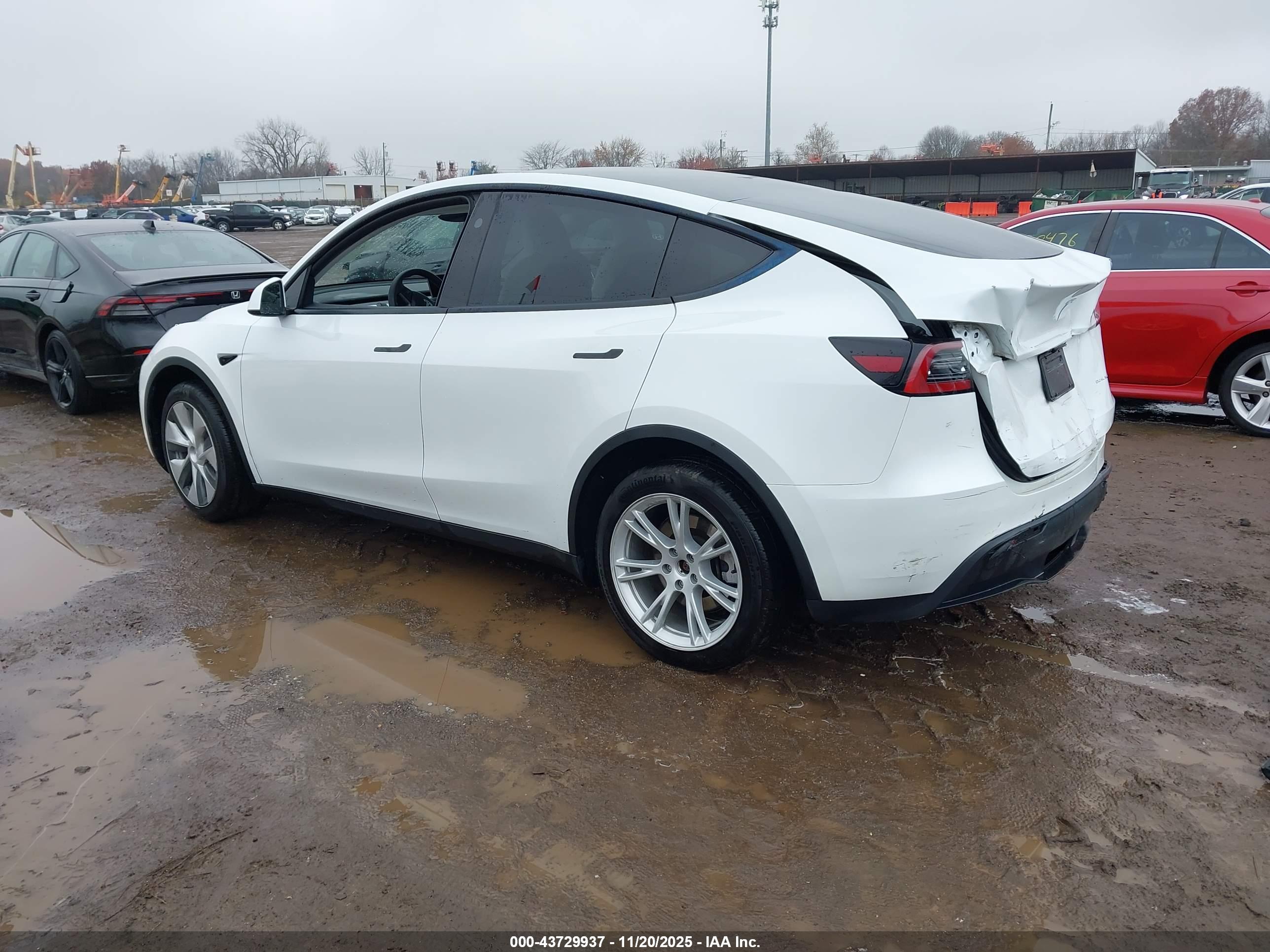 TESLA MODEL image 3