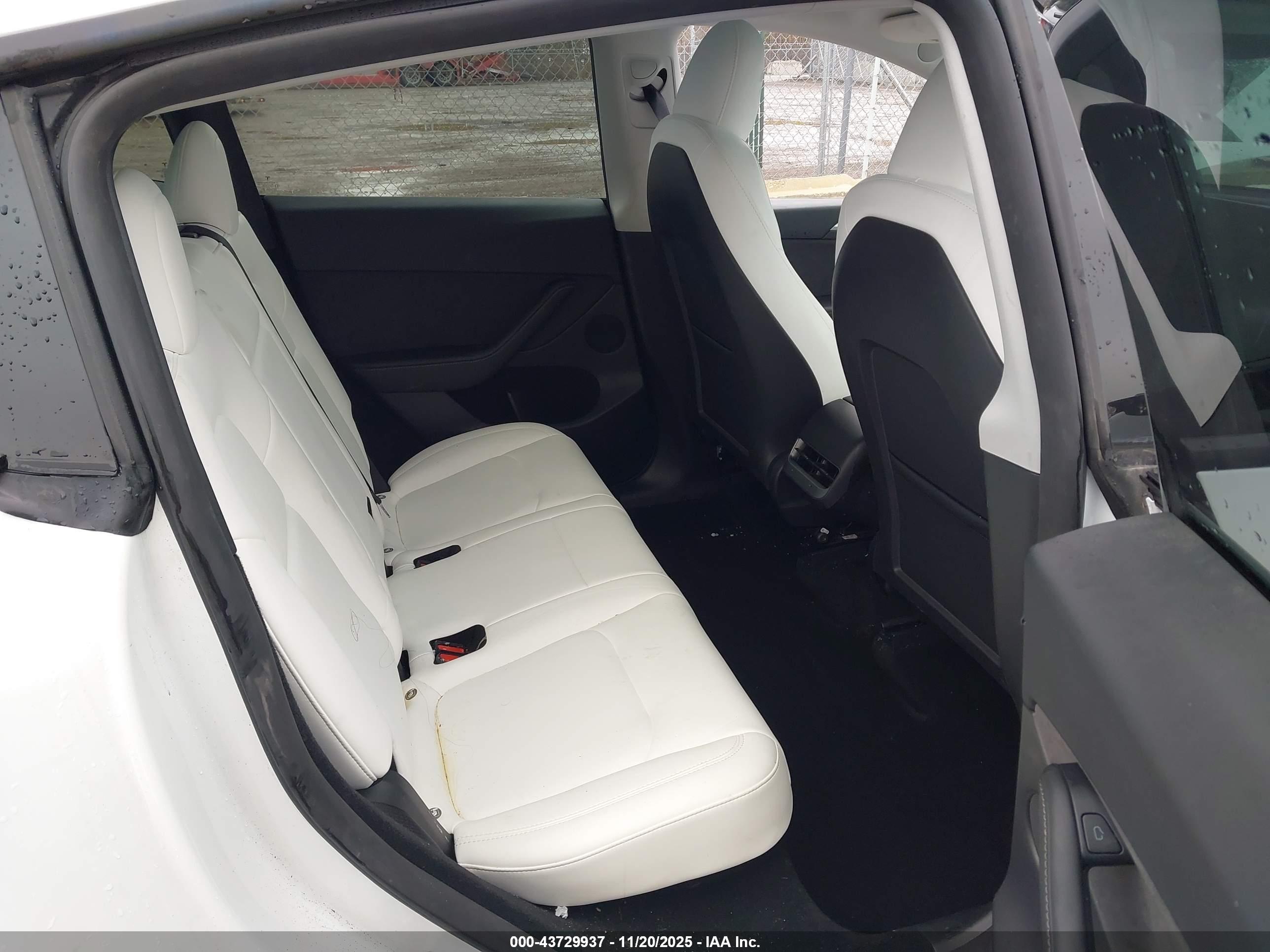 TESLA MODEL image 8