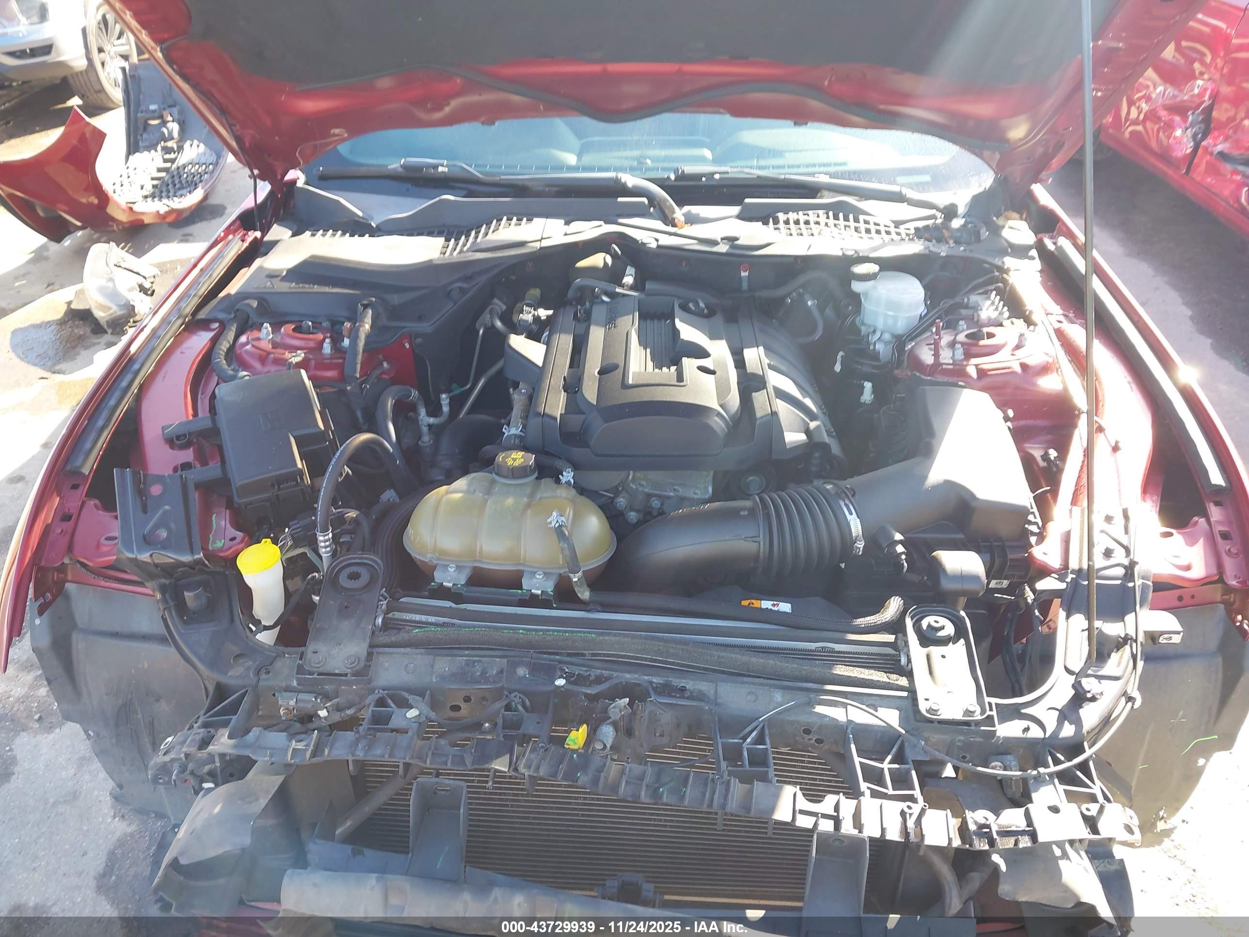 FORD MUSTANG image 10
