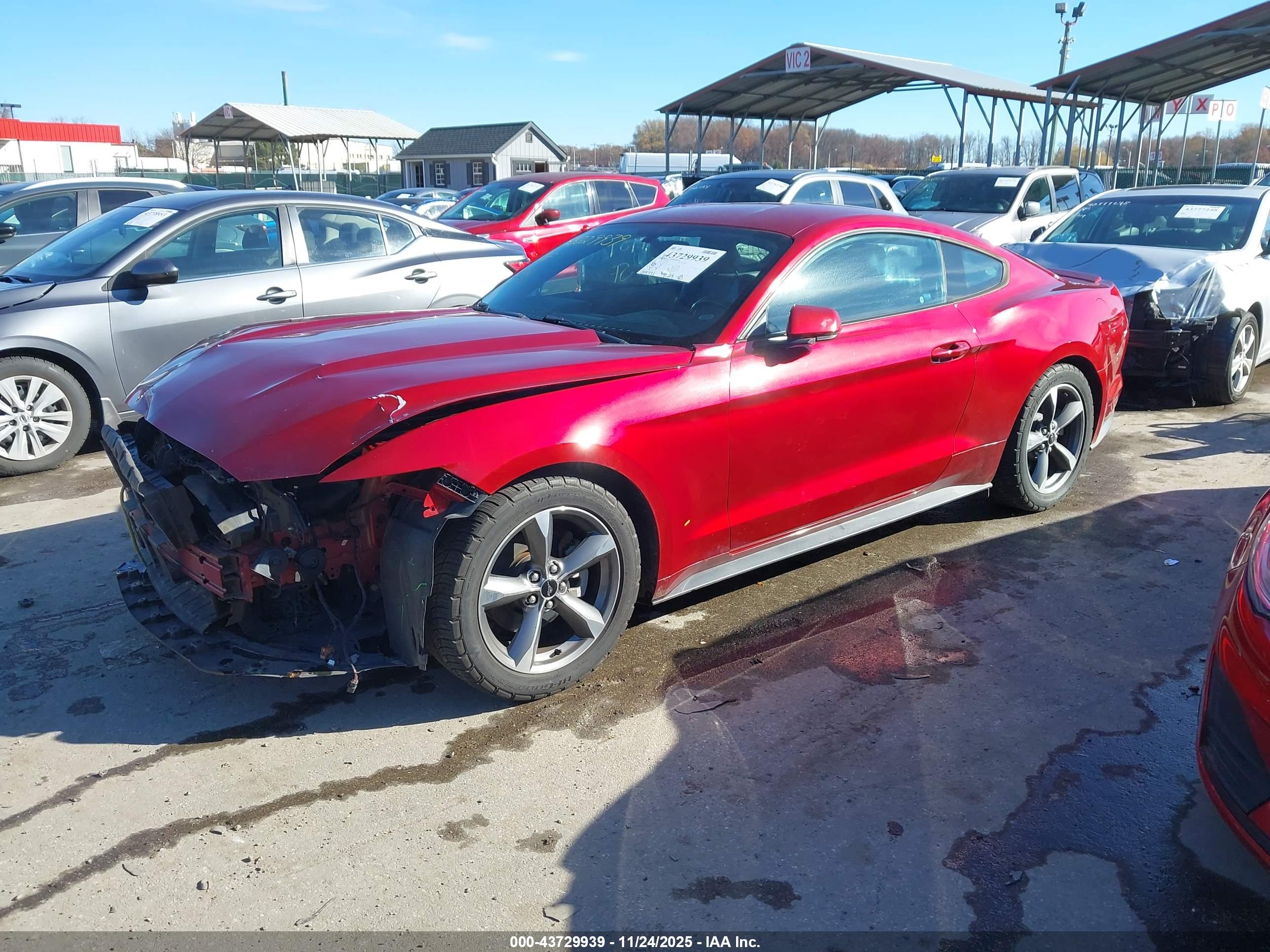 FORD MUSTANG image 2