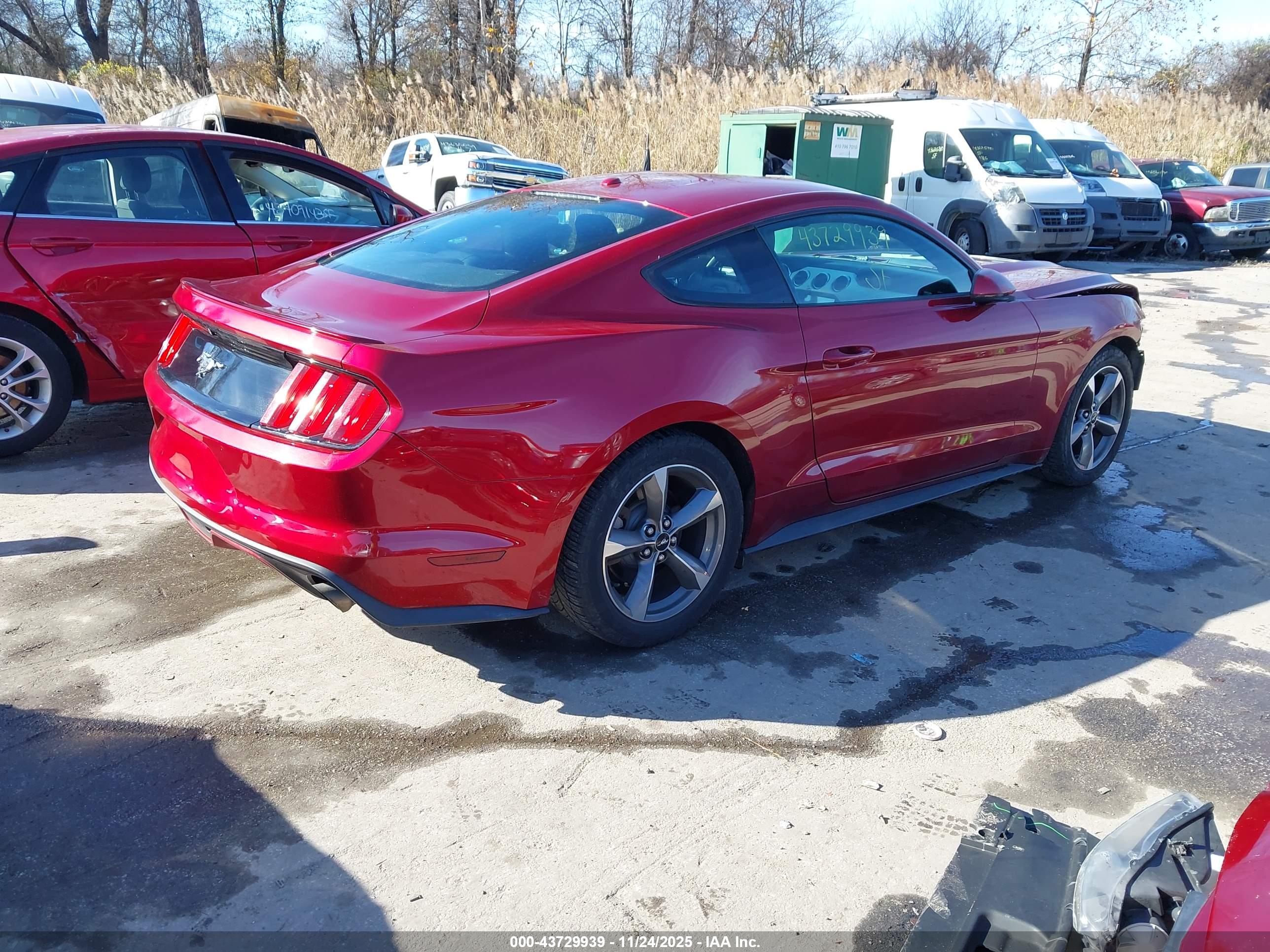 FORD MUSTANG image 4