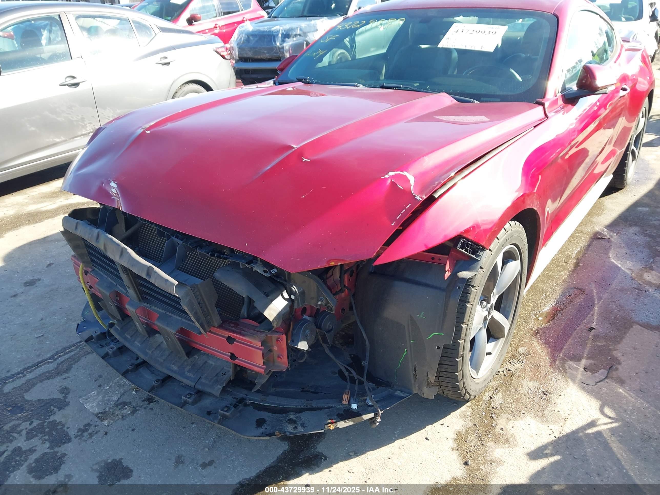 FORD MUSTANG image 6