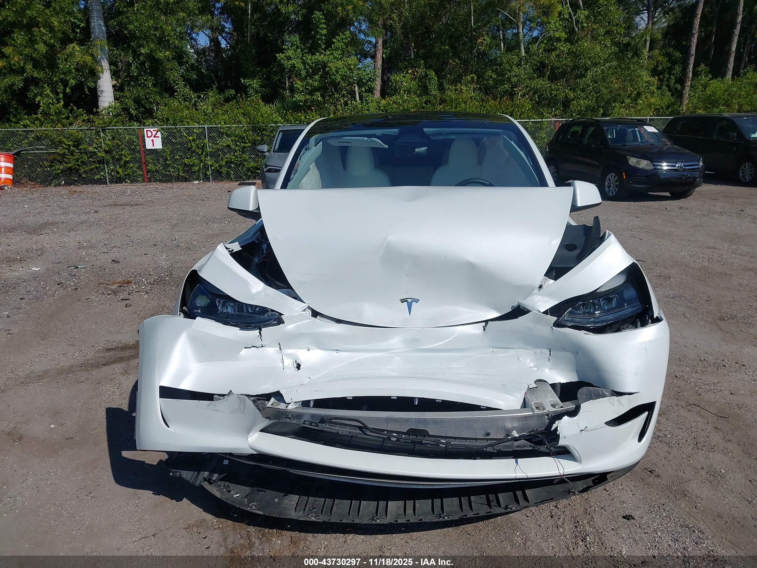 TESLA MODEL image 6