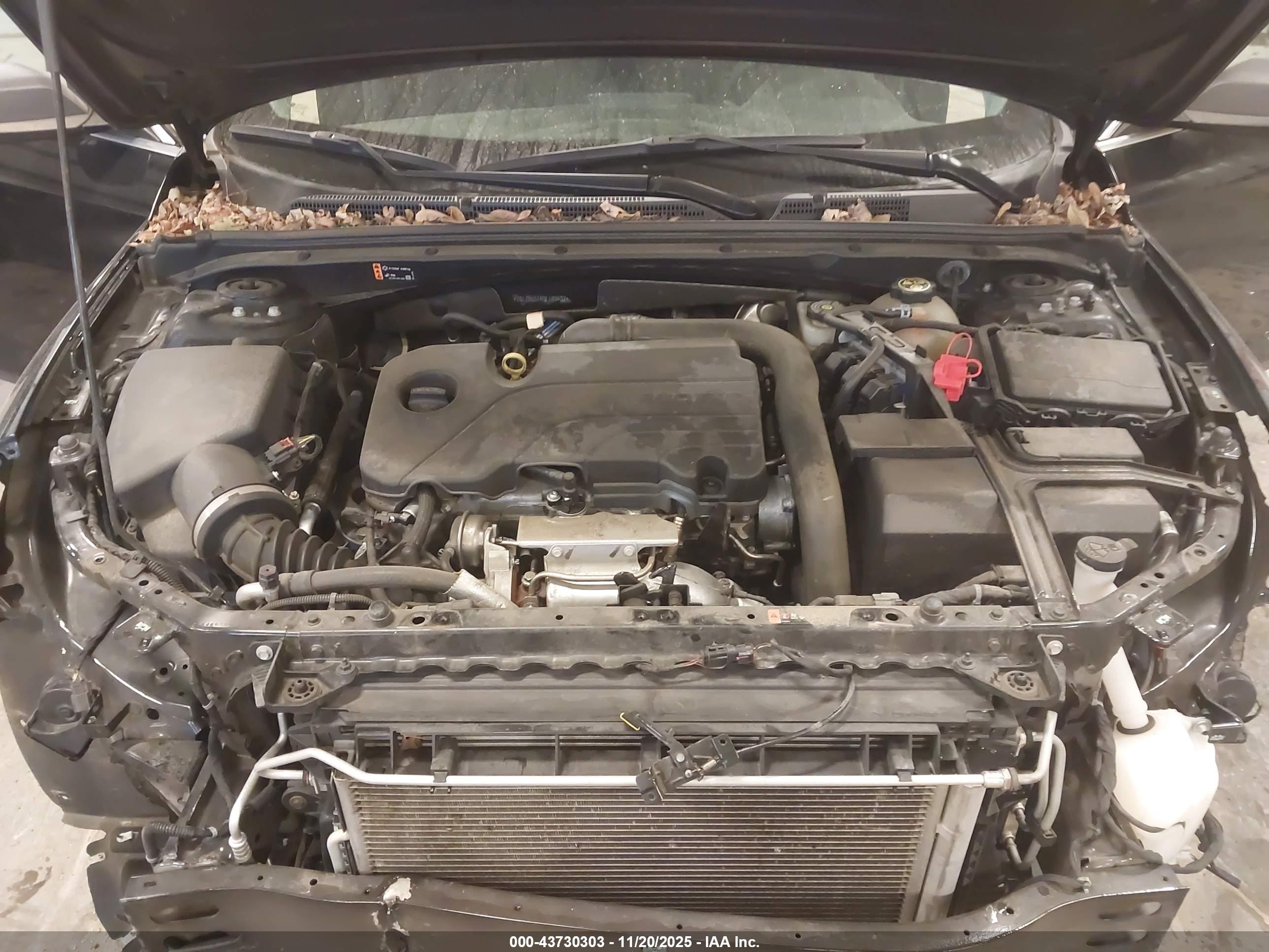 CHEVROLET MALIBU image 10