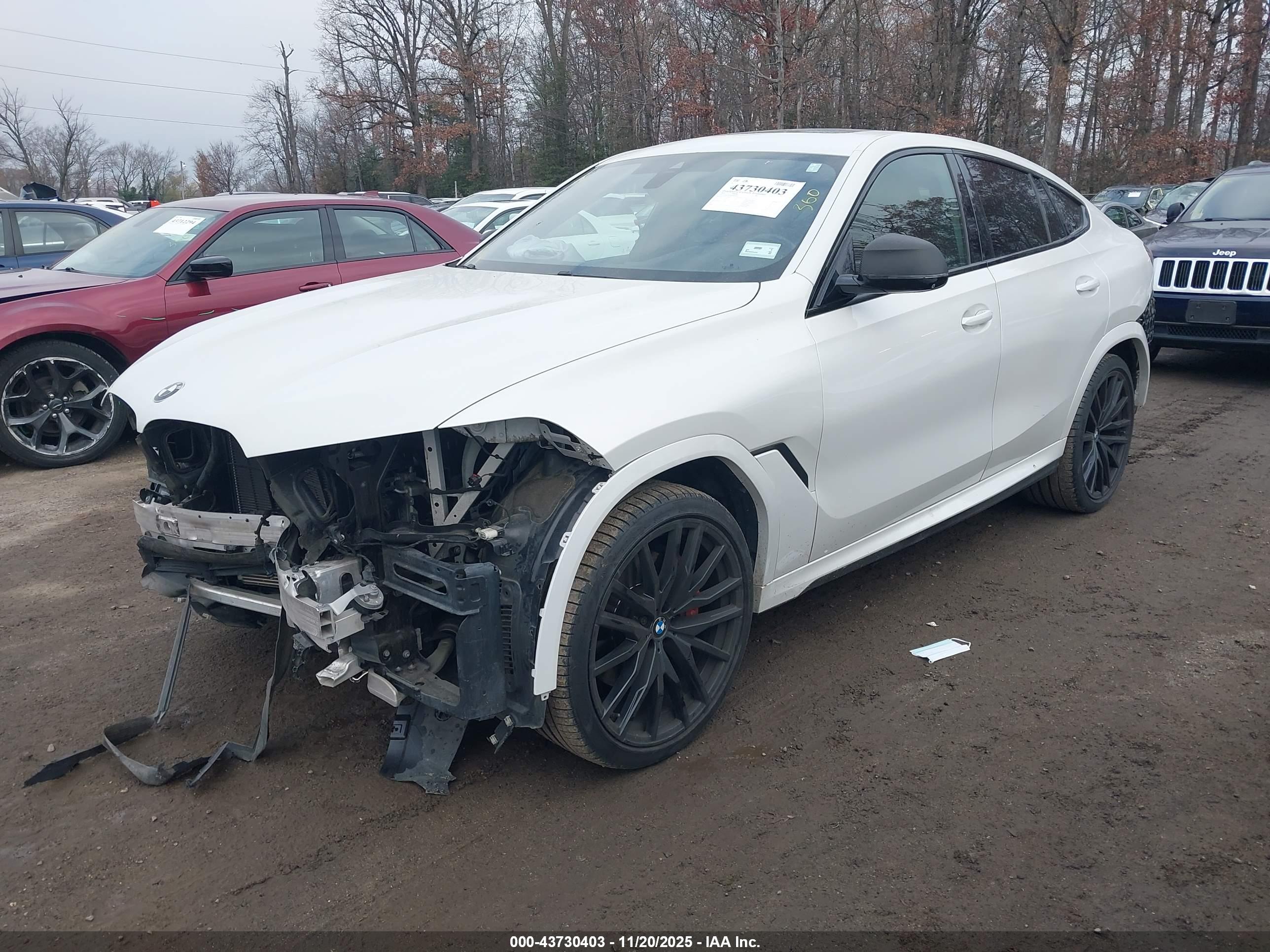 BMW X6 image 2