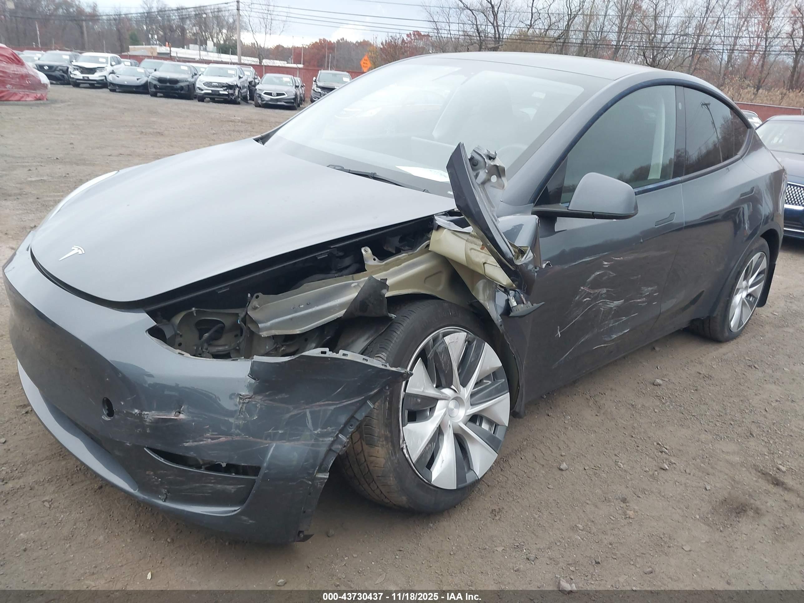 TESLA MODEL image 6