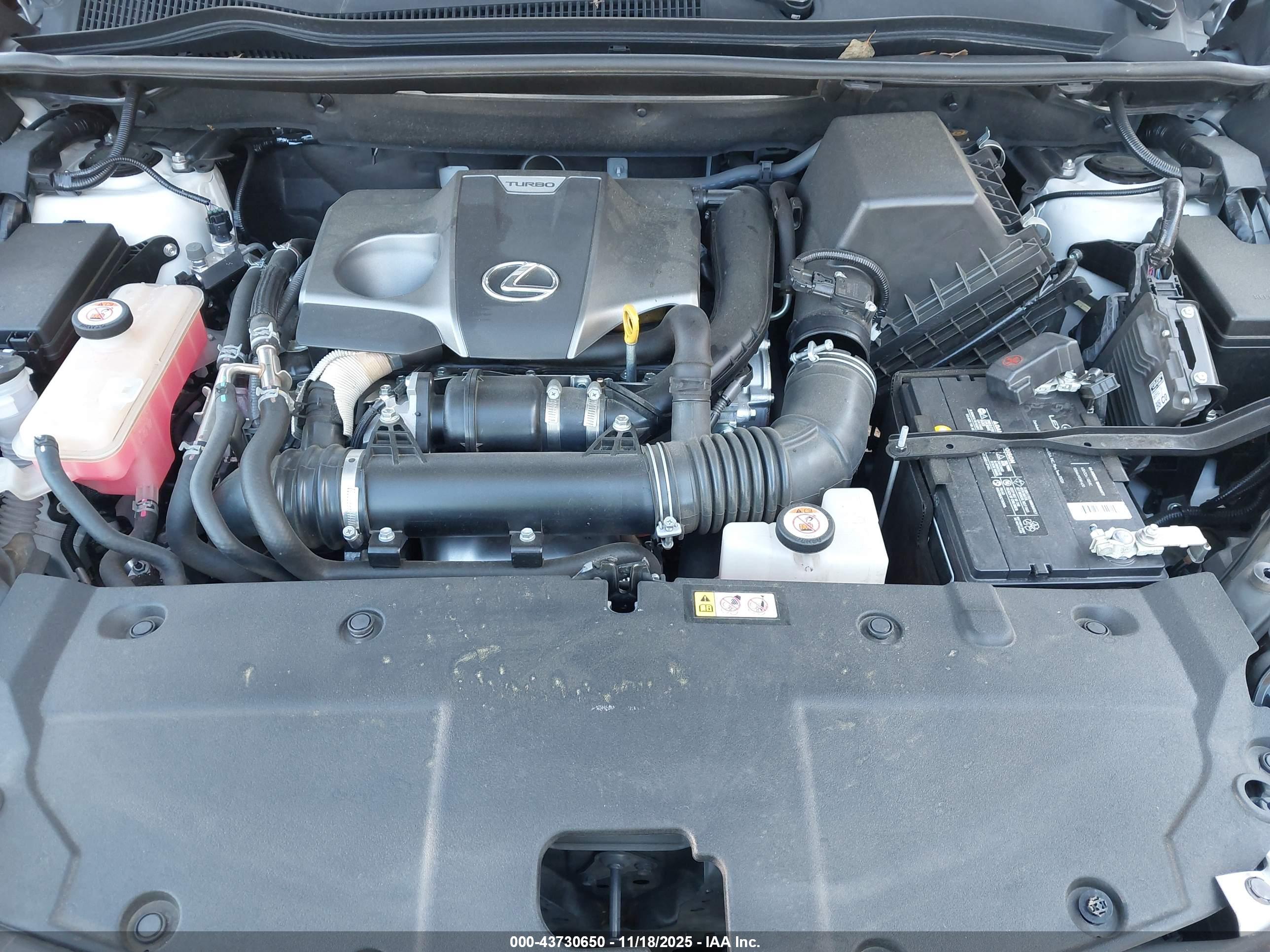 LEXUS NX image 10