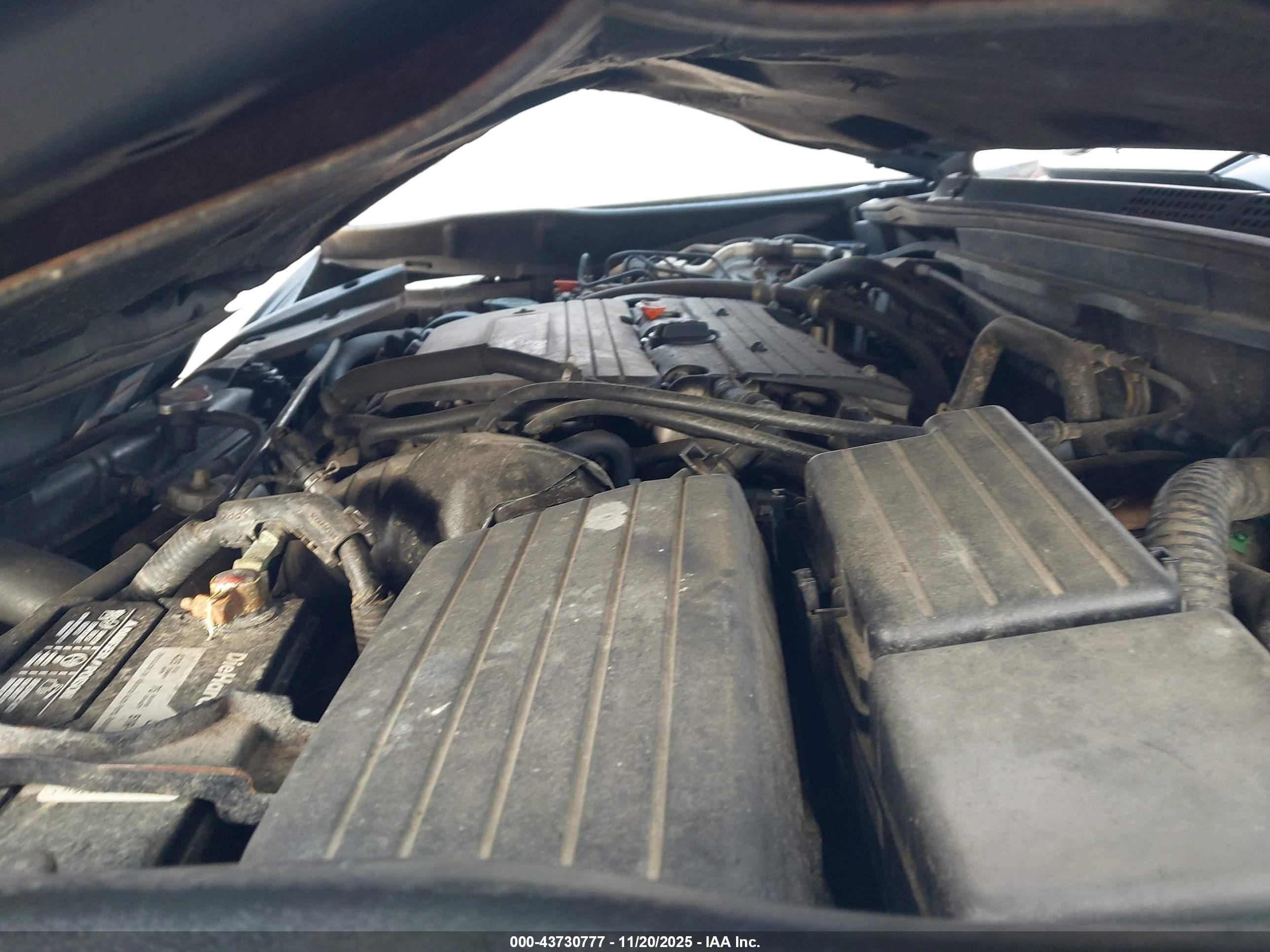 HONDA ACCORD image 10