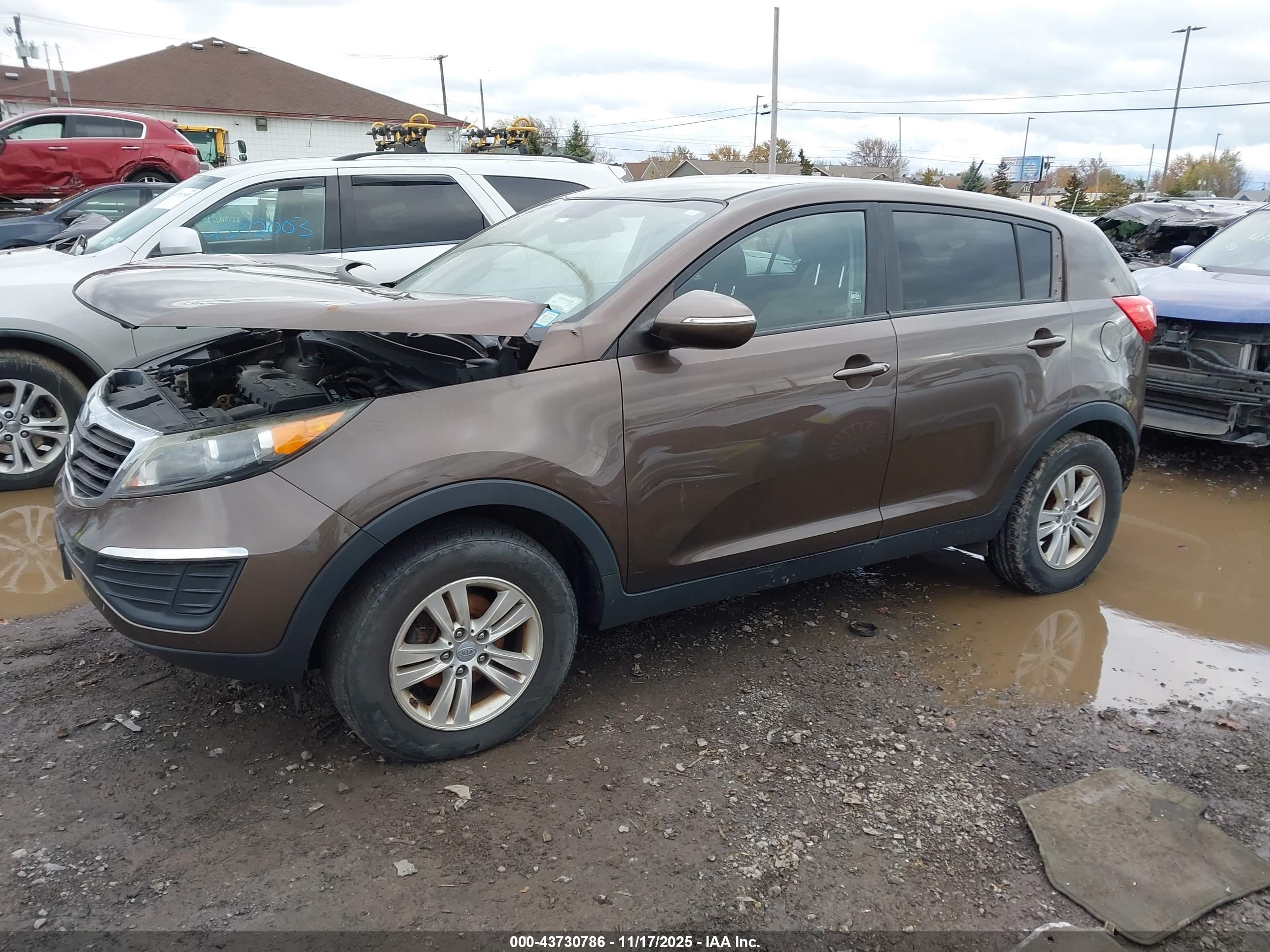 KIA SPORTAGE image 2