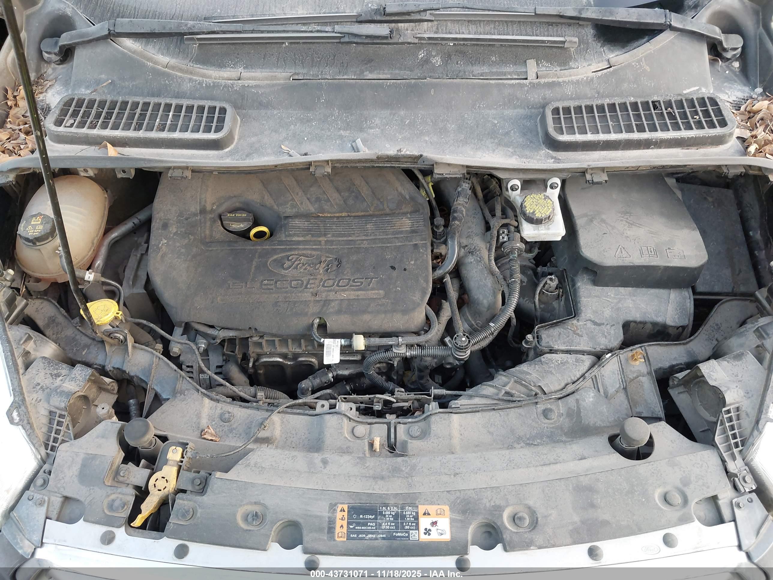 FORD ESCAPE image 10