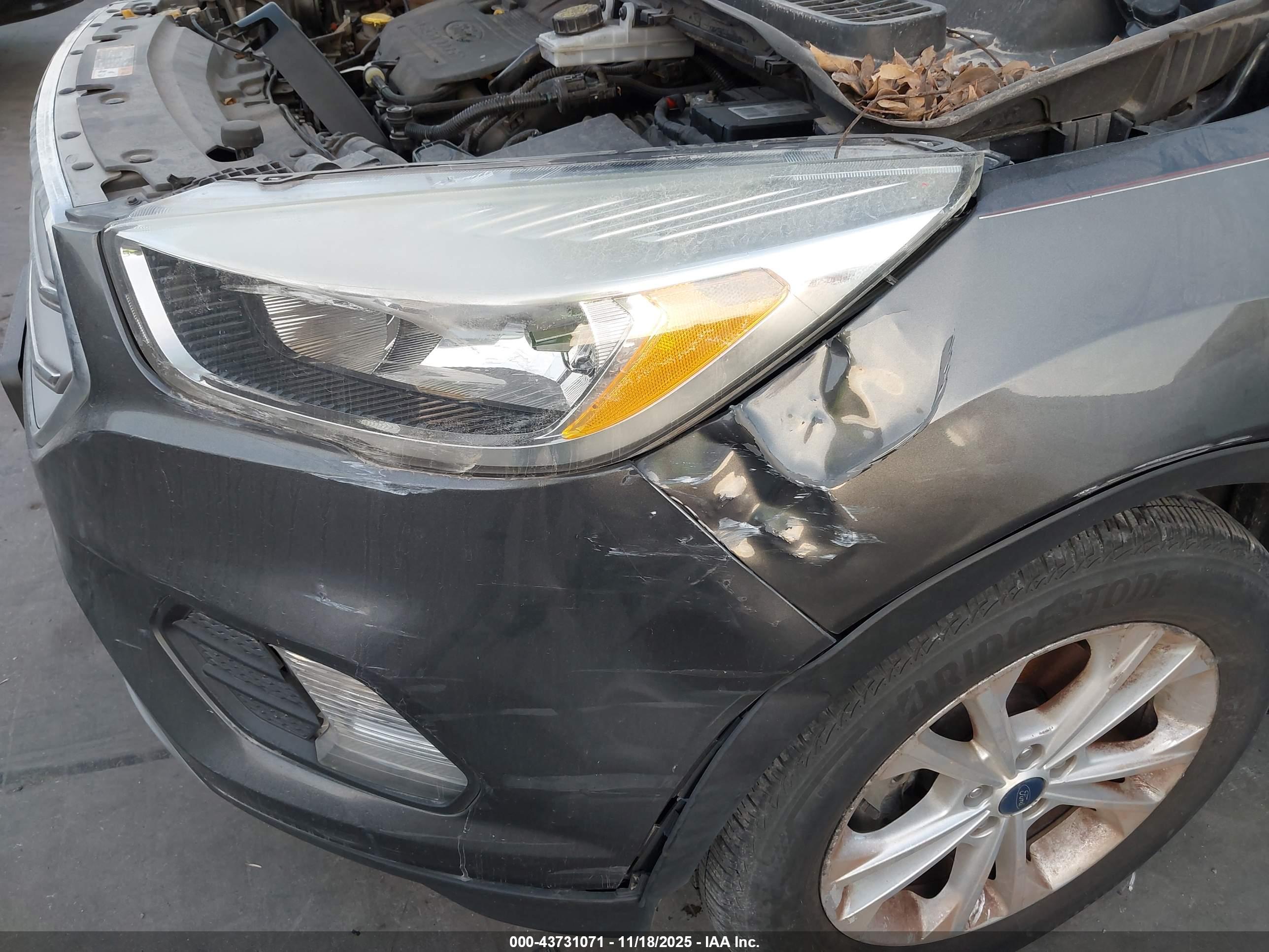 FORD ESCAPE image 6