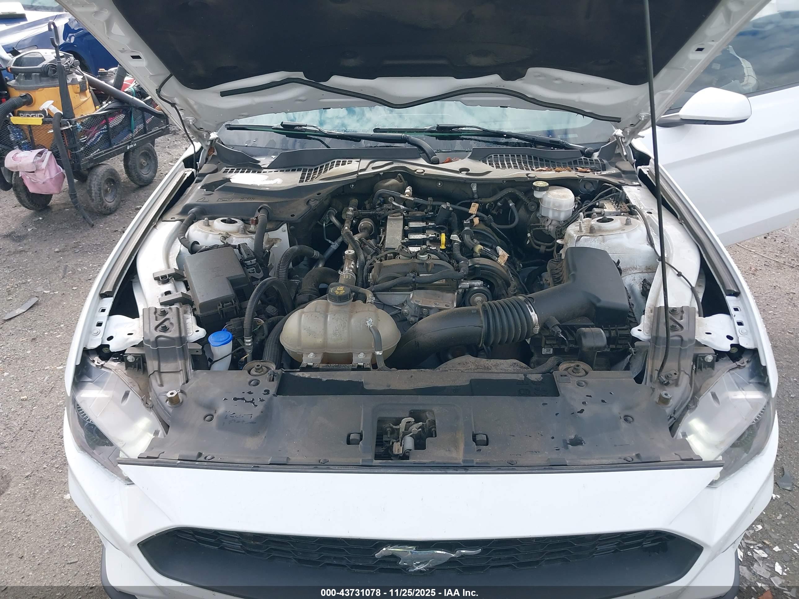 FORD MUSTANG image 10