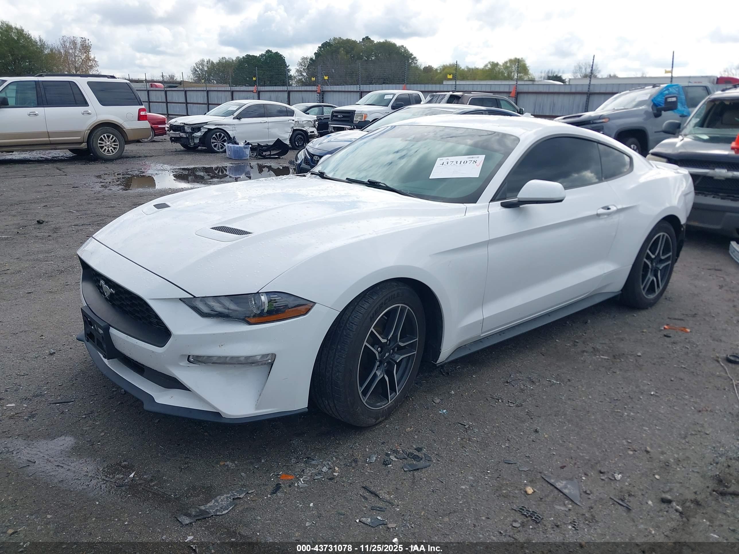 FORD MUSTANG image 2
