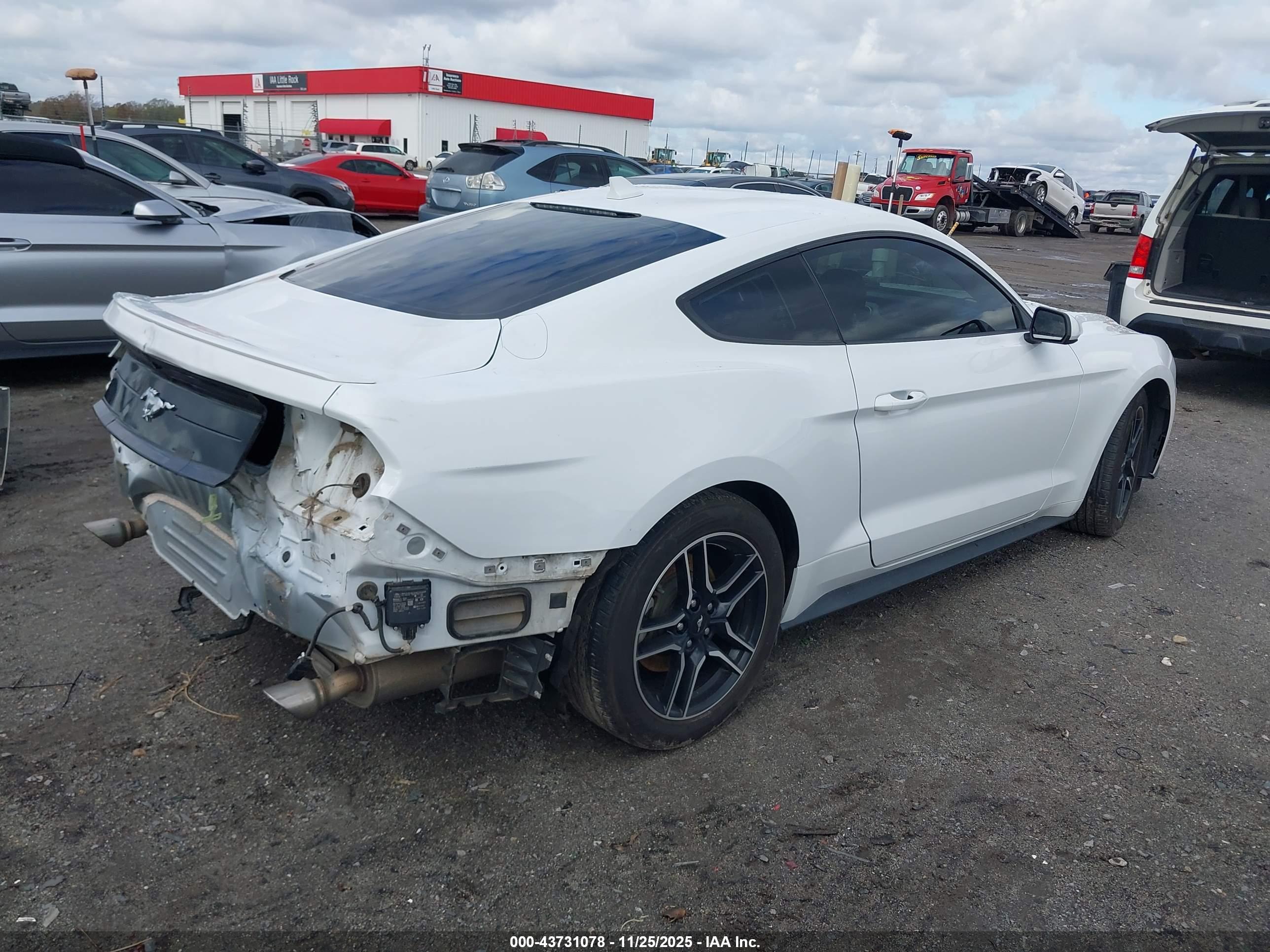 FORD MUSTANG image 4