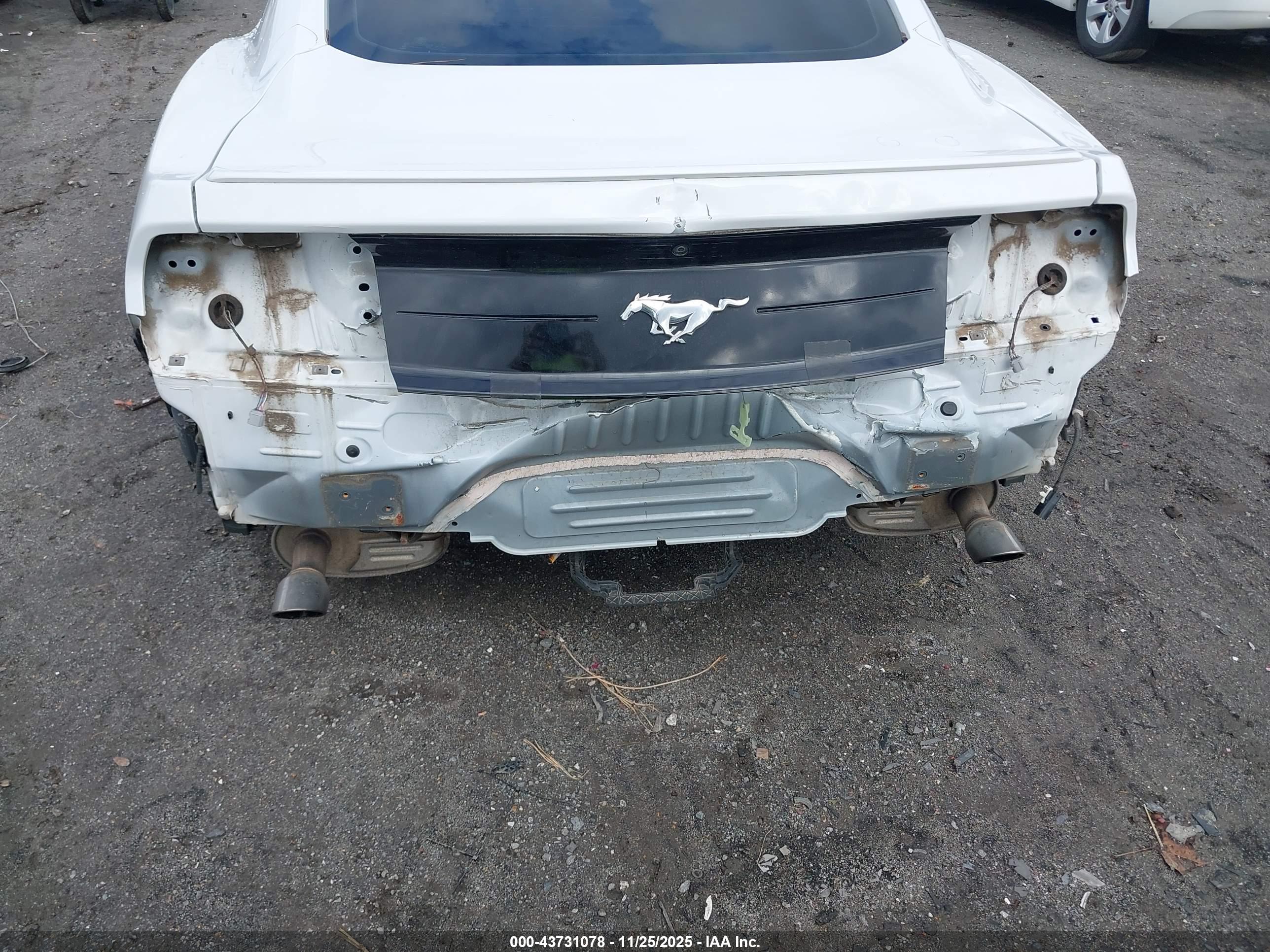 FORD MUSTANG image 6