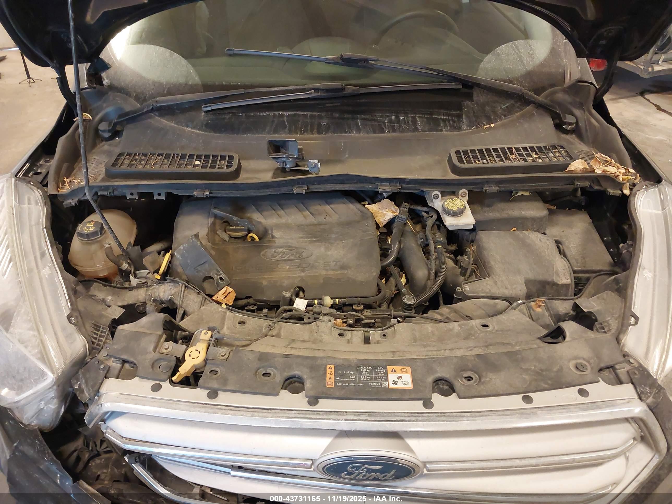 FORD ESCAPE image 10