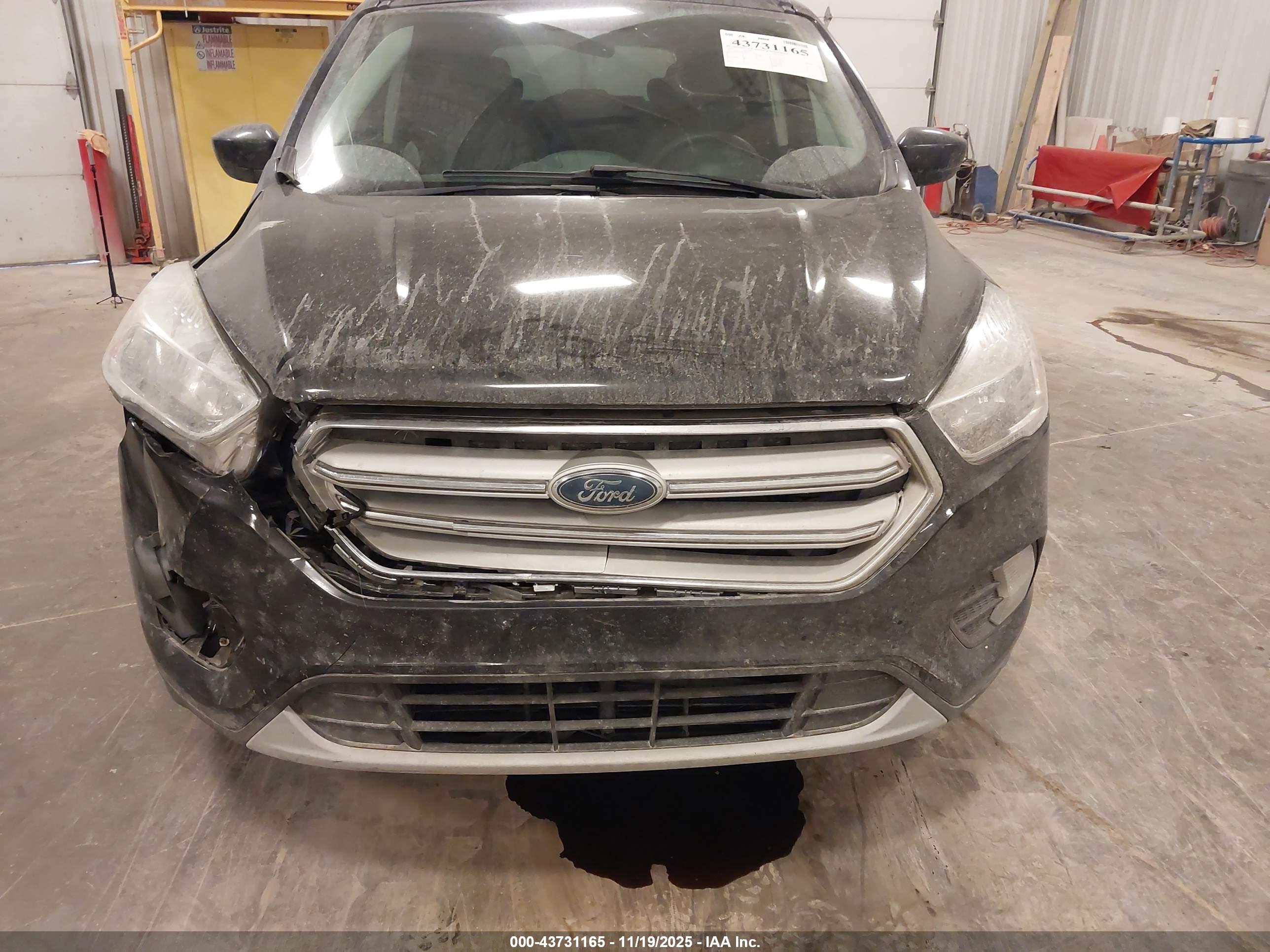 FORD ESCAPE image 6