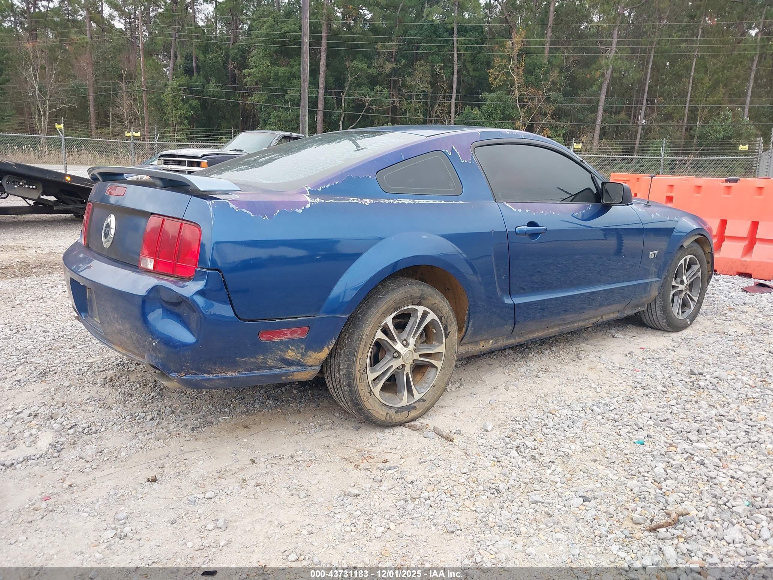FORD MUSTANG image 4