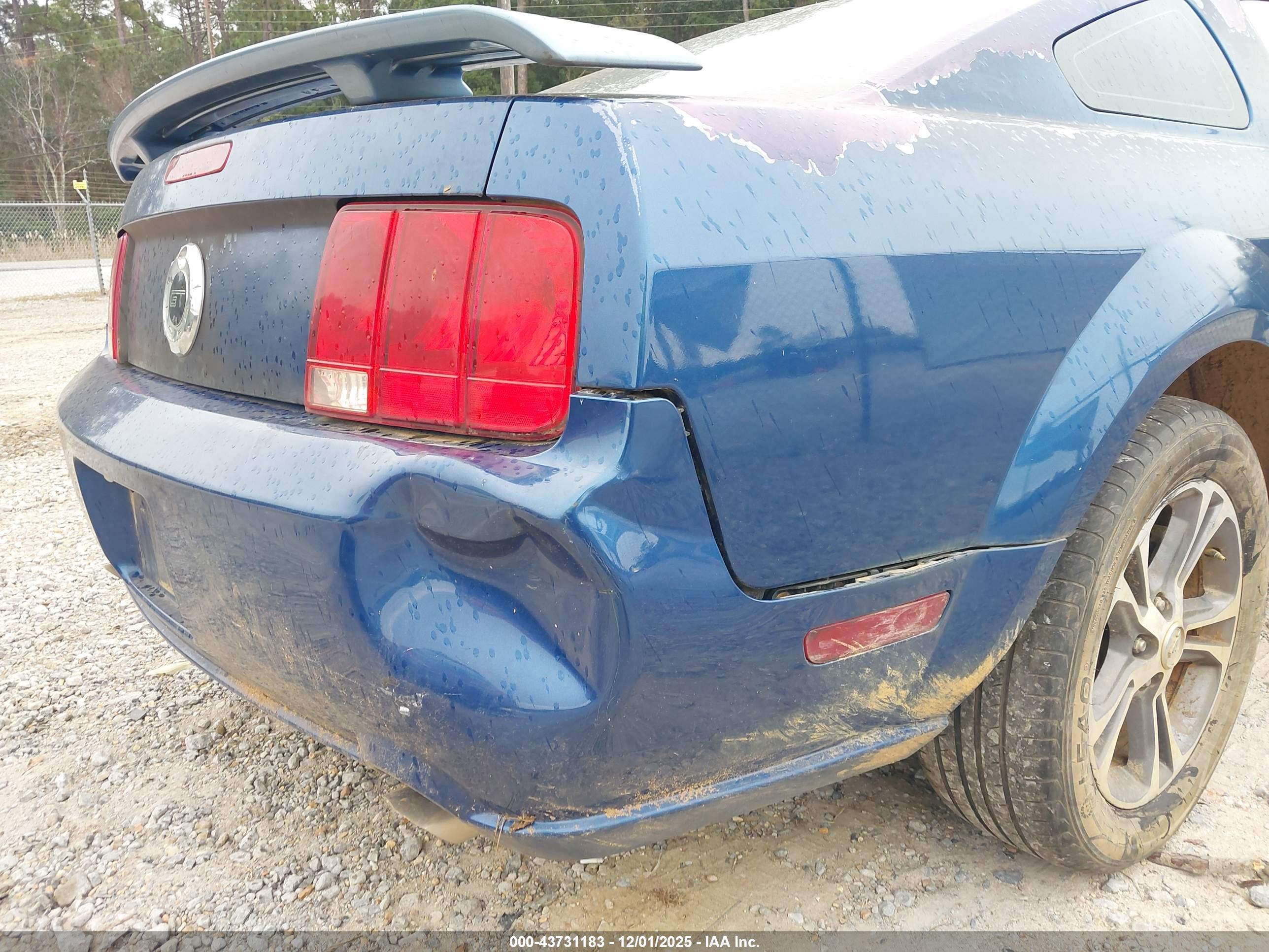 FORD MUSTANG image 6