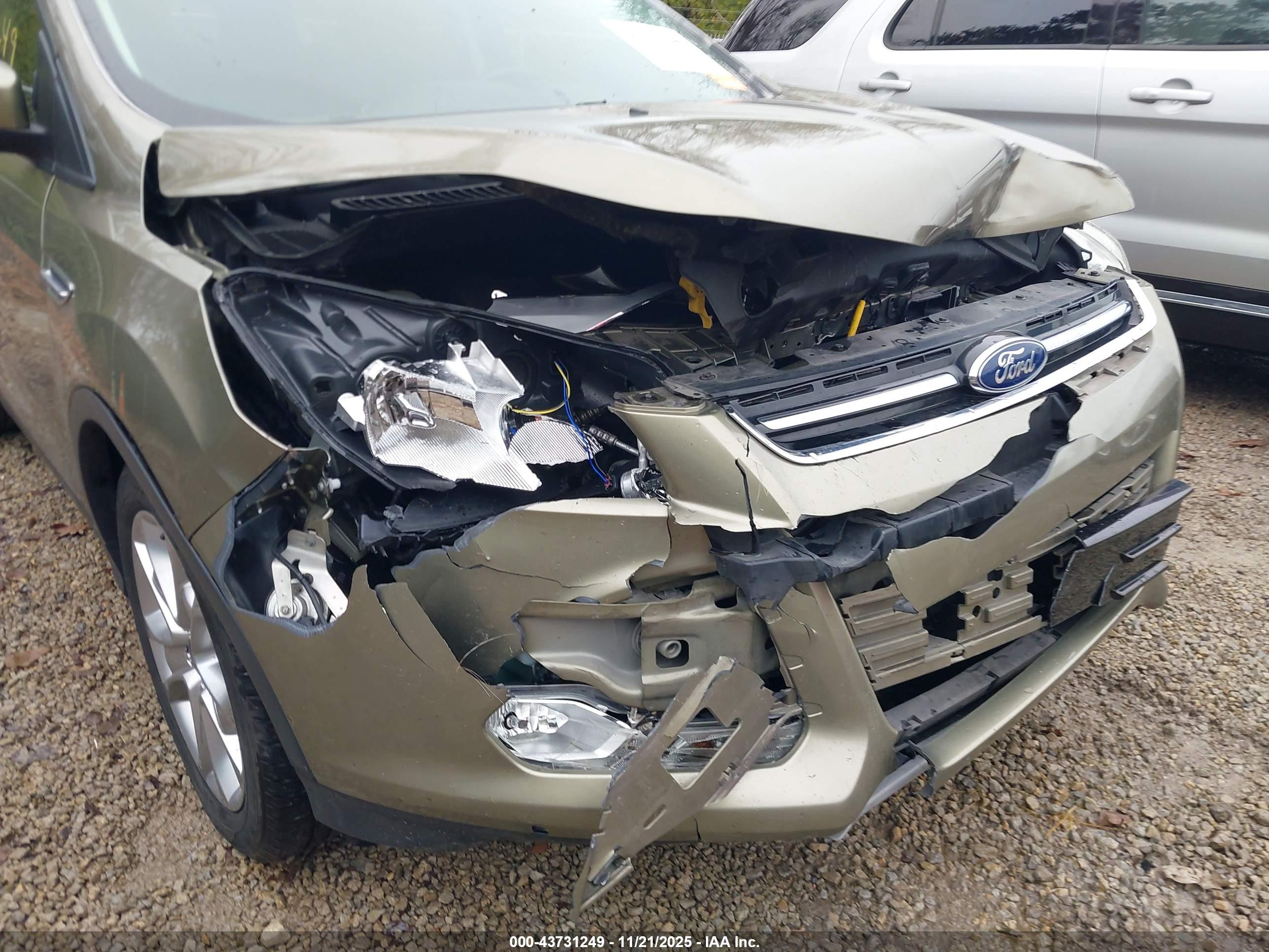 FORD ESCAPE image 6