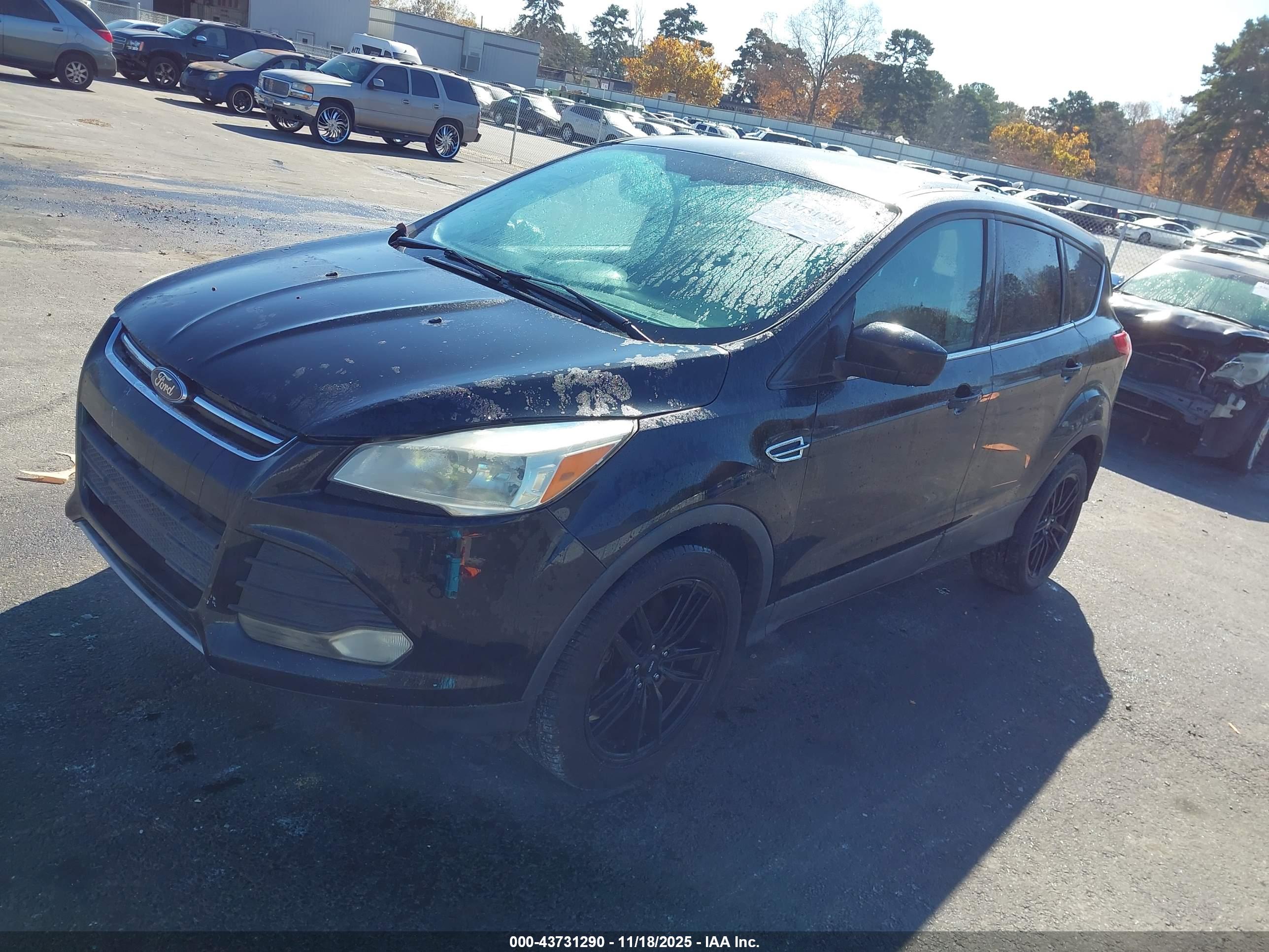 FORD ESCAPE image 2