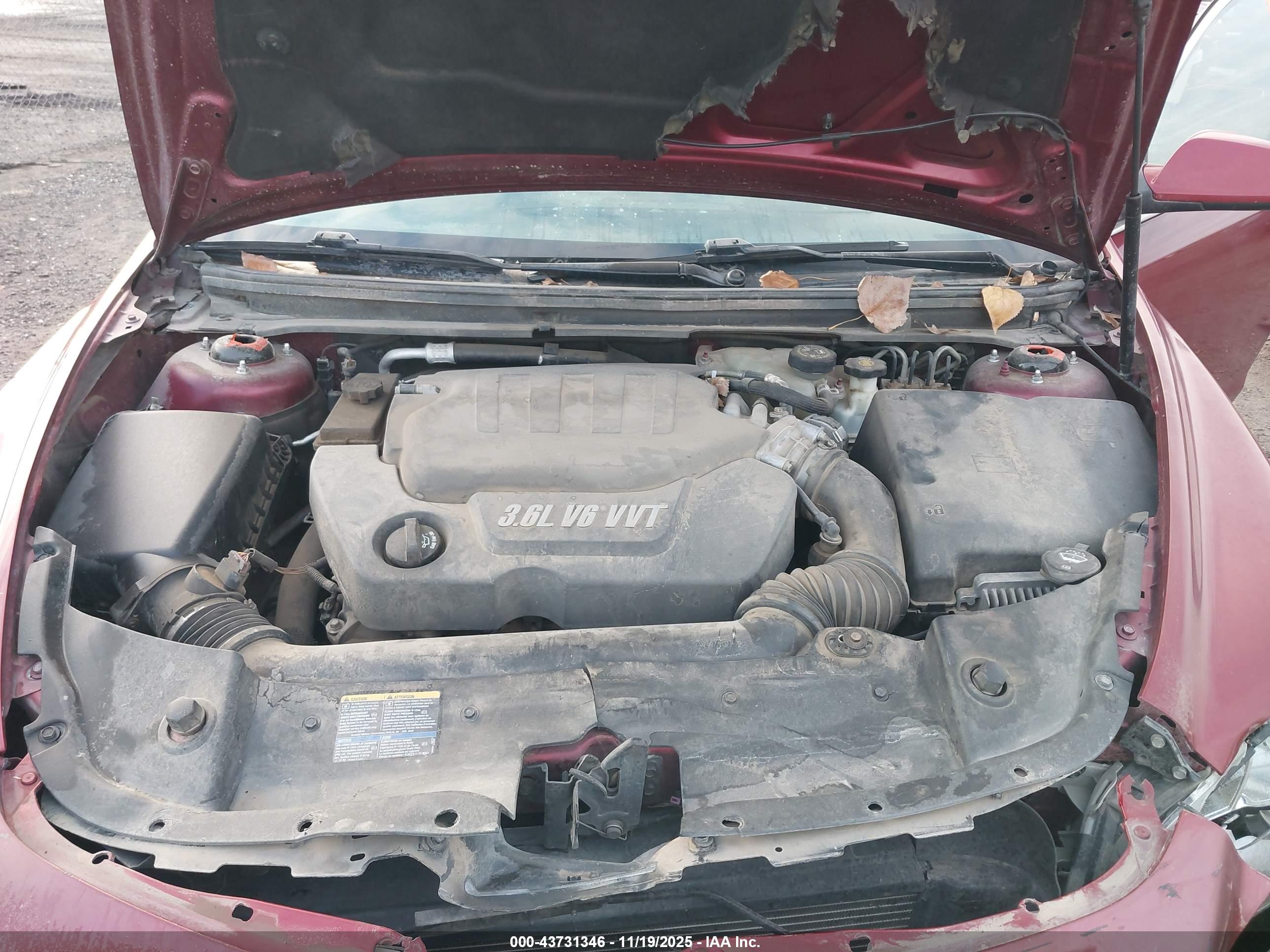 CHEVROLET MALIBU image 10