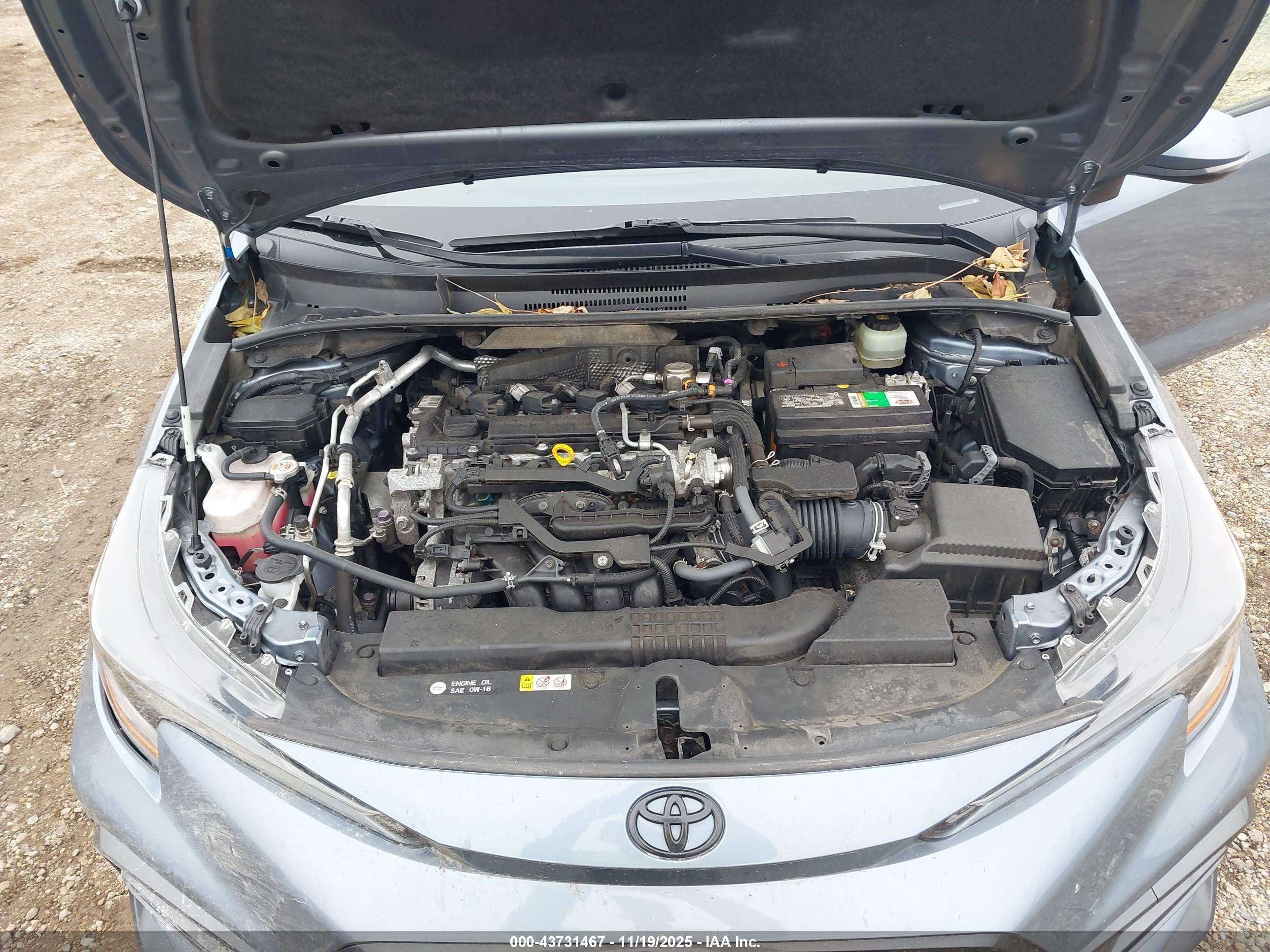 TOYOTA COROLLA image 10