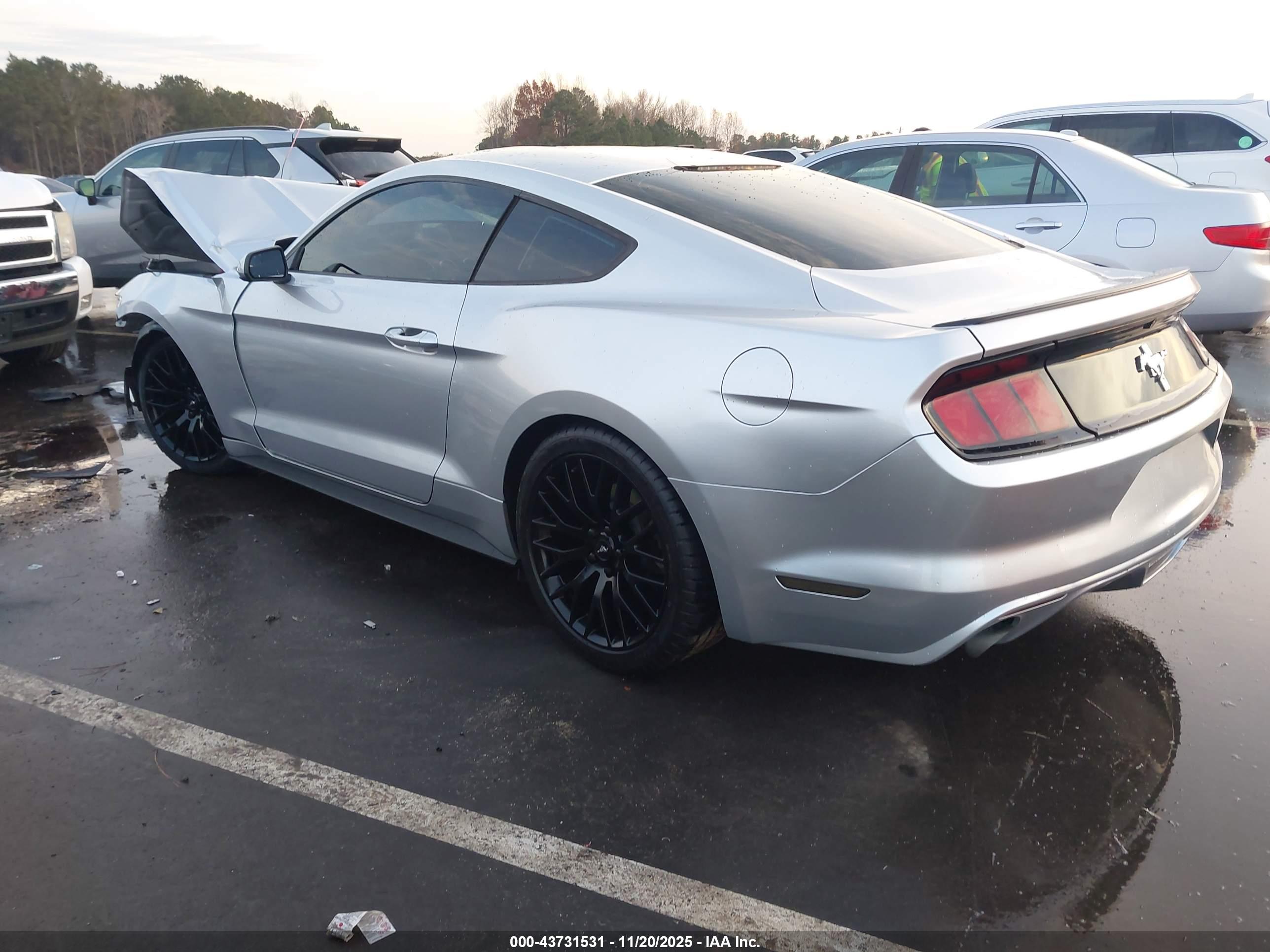 FORD MUSTANG image 3
