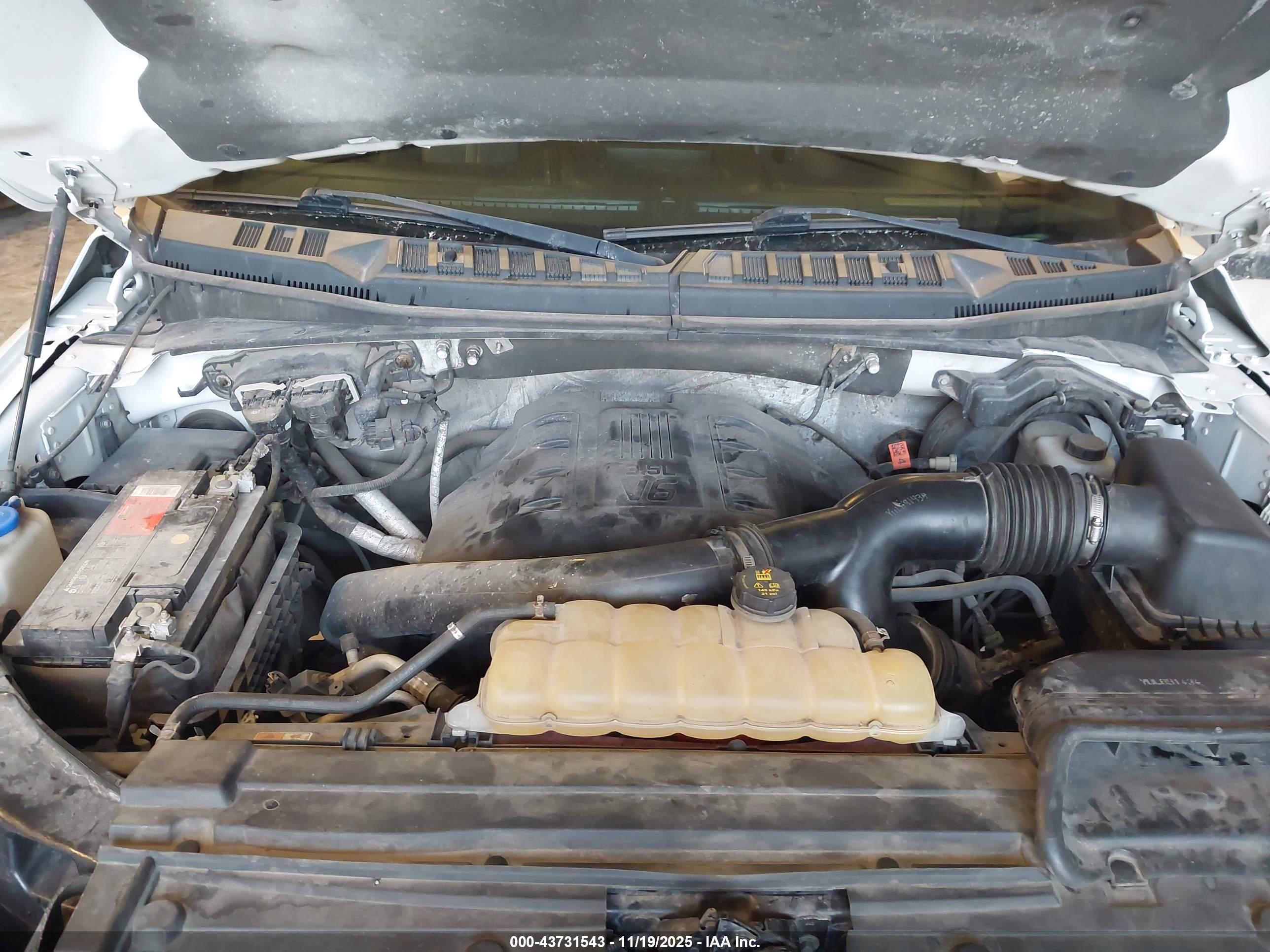 FORD F-150 image 10