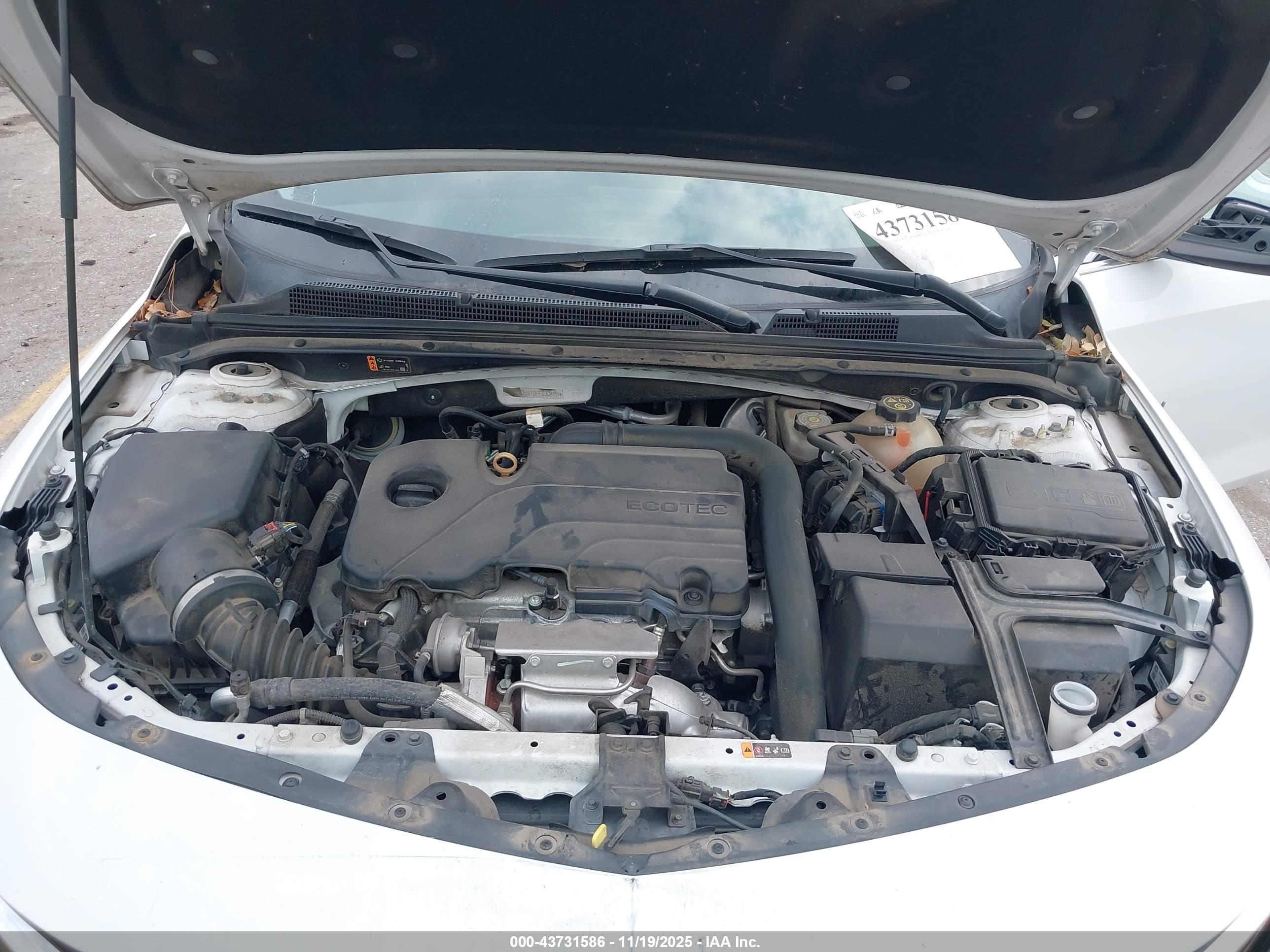 CHEVROLET MALIBU image 10