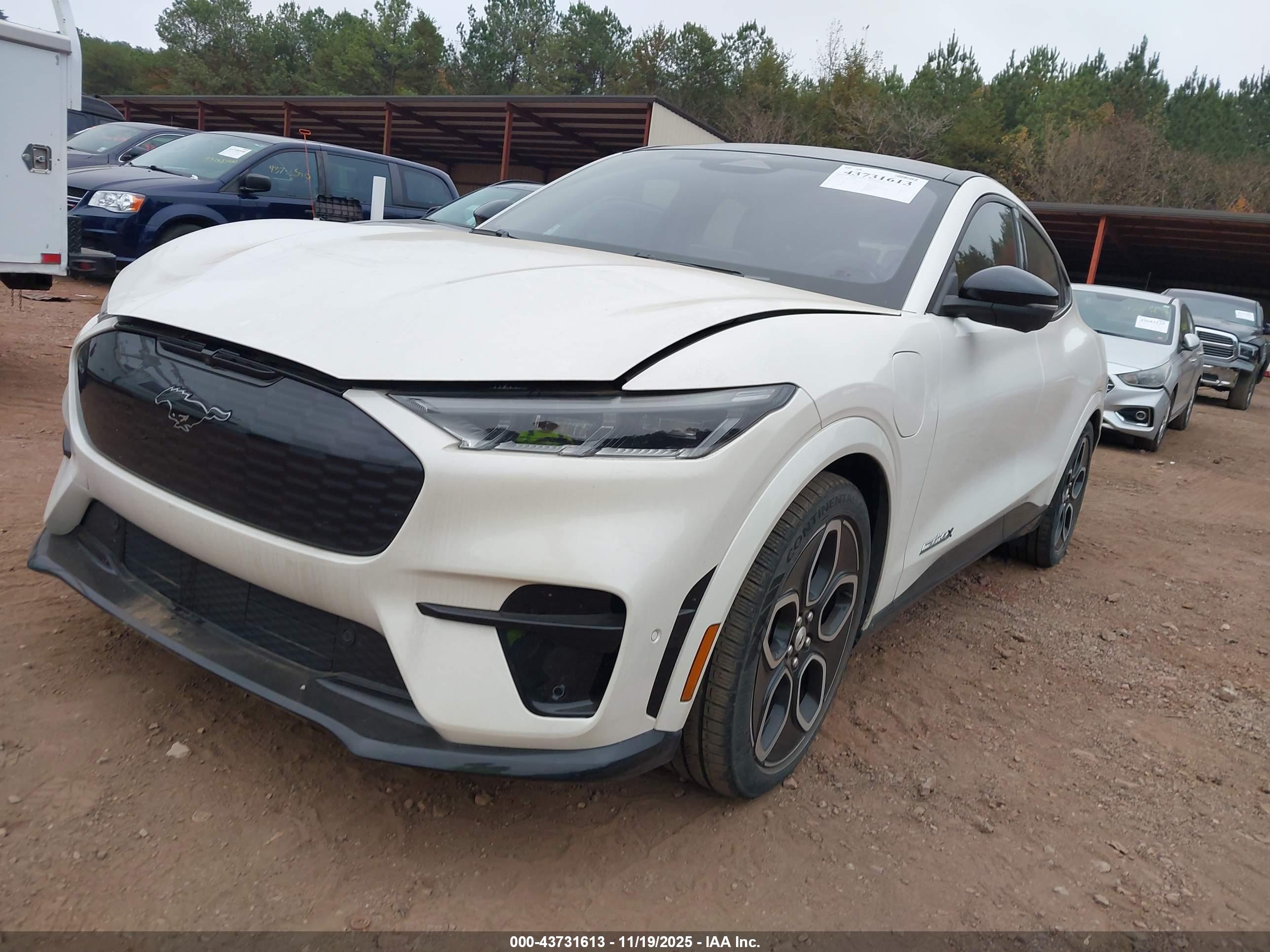 FORD MUSTANG image 2