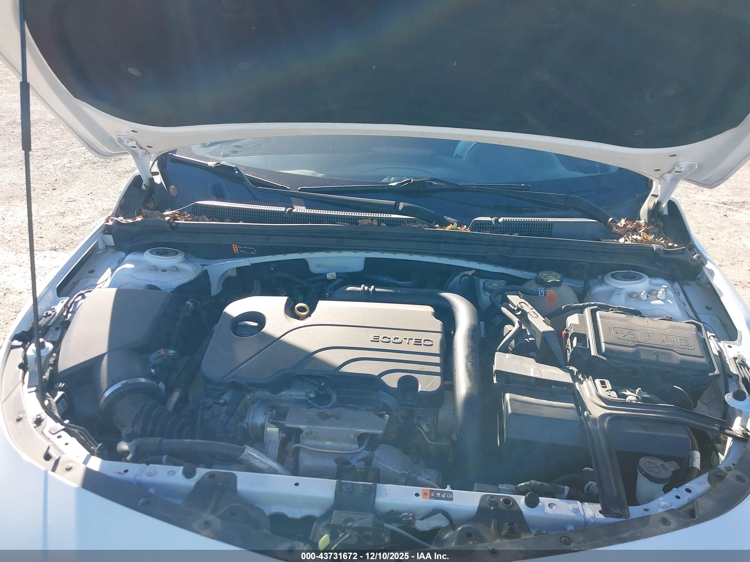 CHEVROLET MALIBU image 10