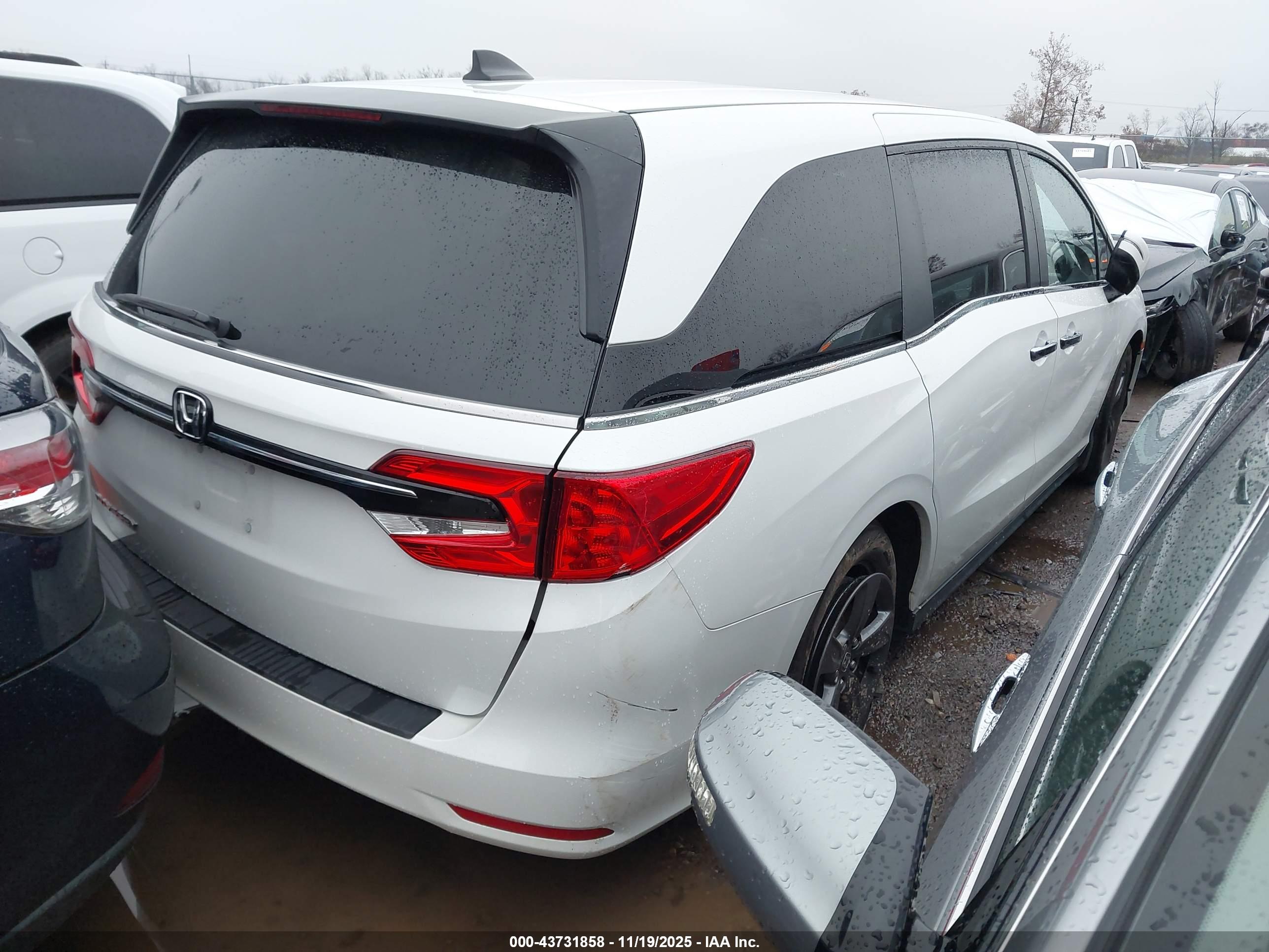 HONDA ODYSSEY image 4