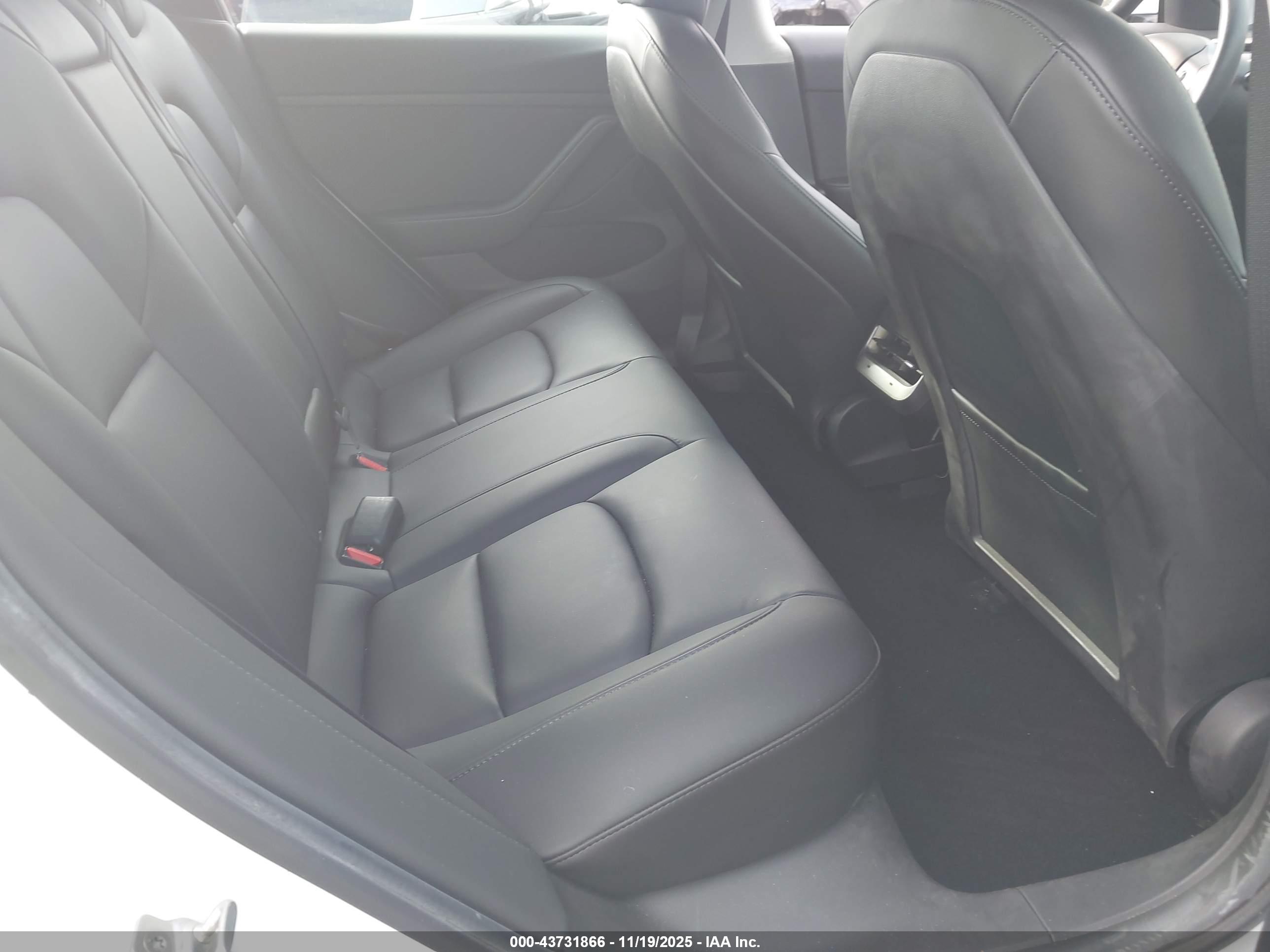 TESLA MODEL image 8