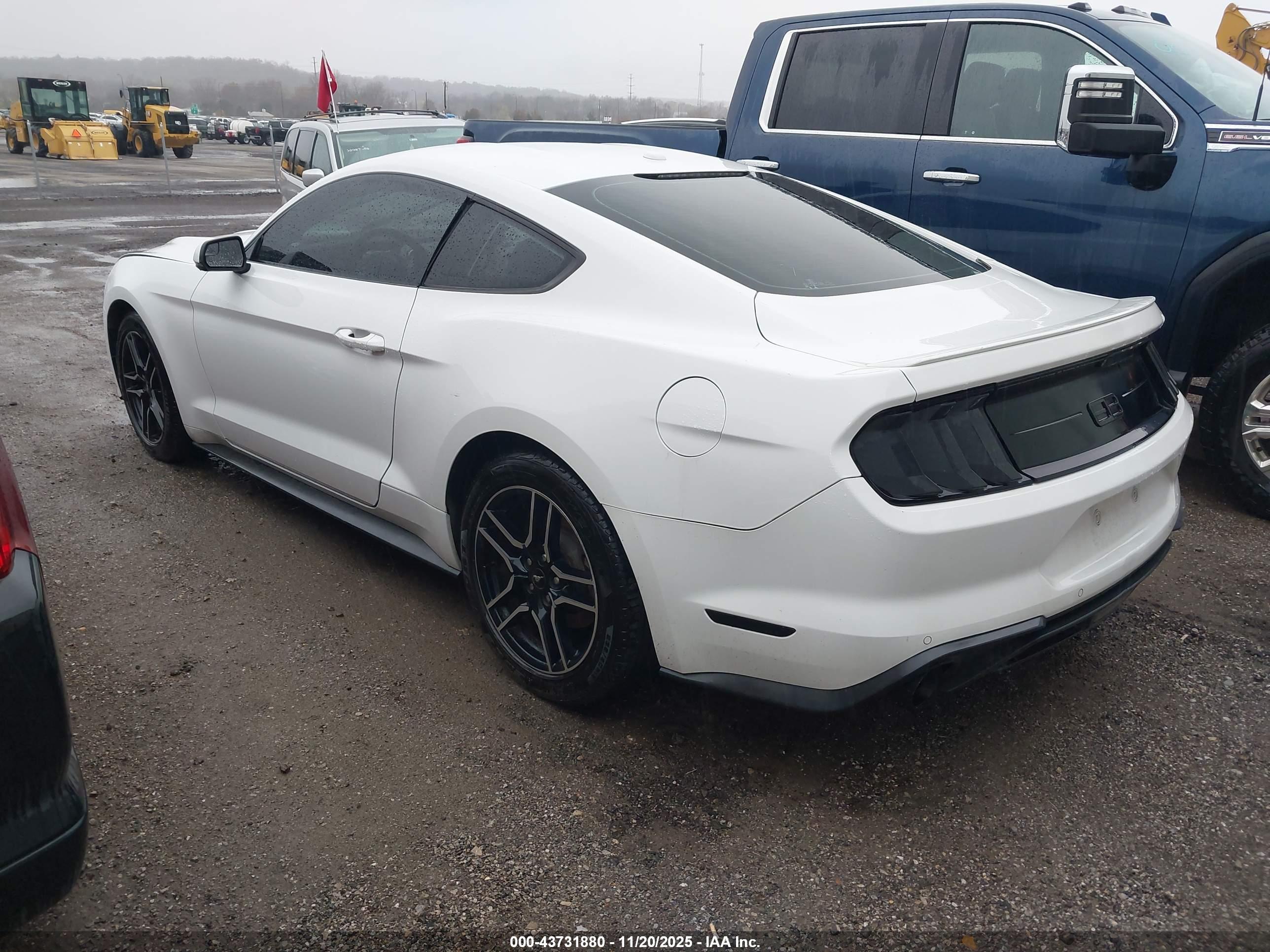 FORD MUSTANG image 3