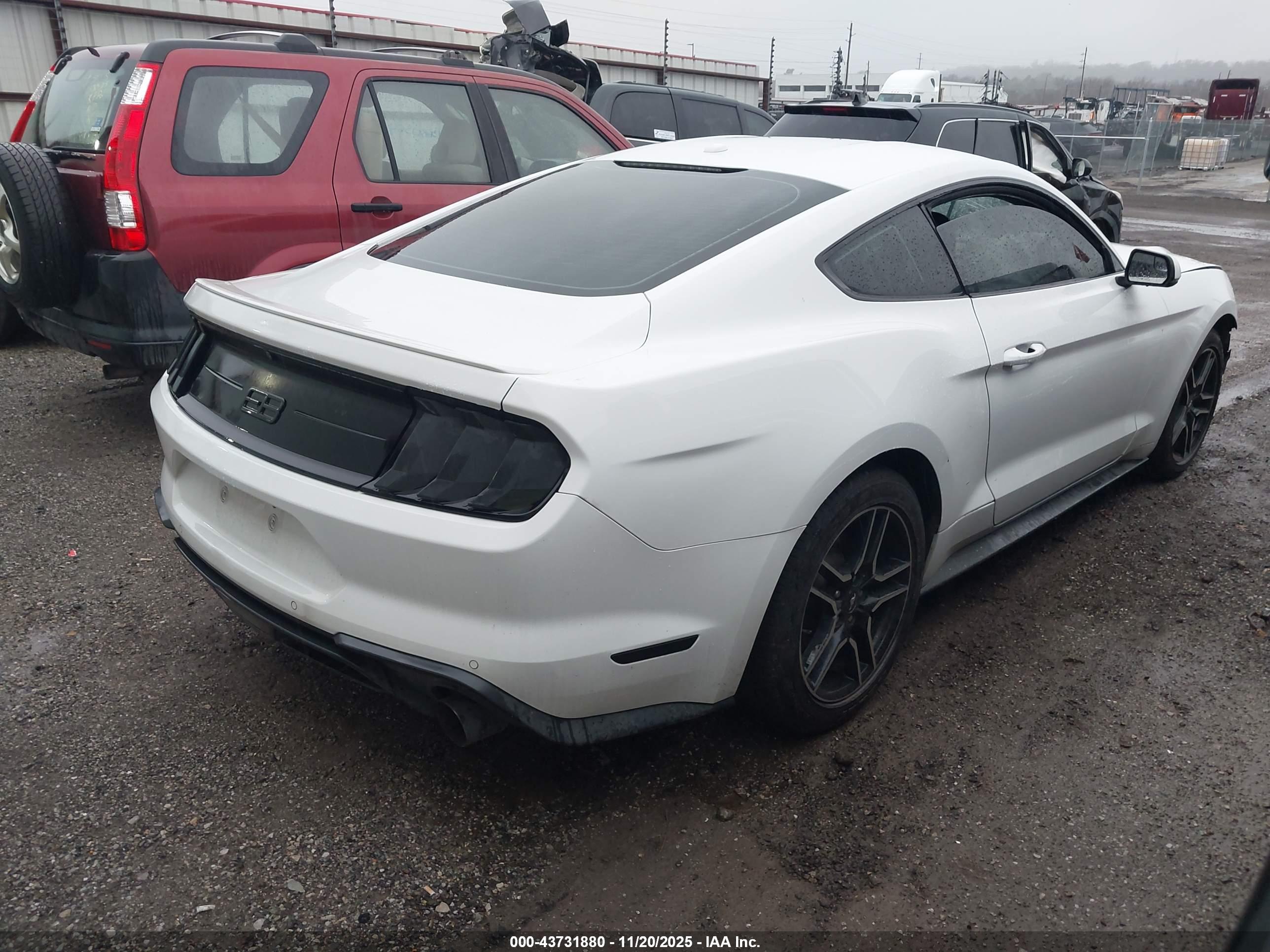 FORD MUSTANG image 4