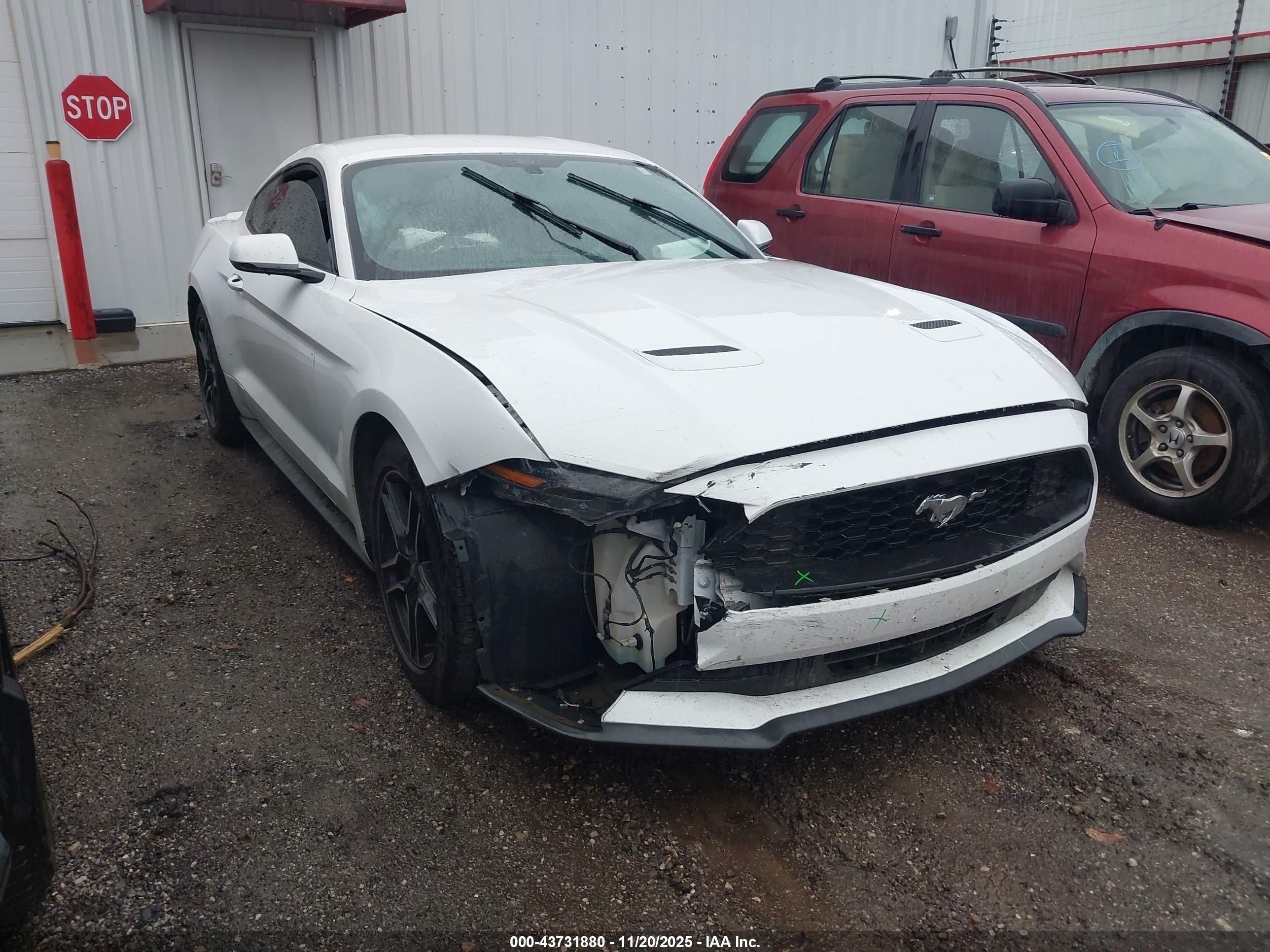 FORD MUSTANG image 6