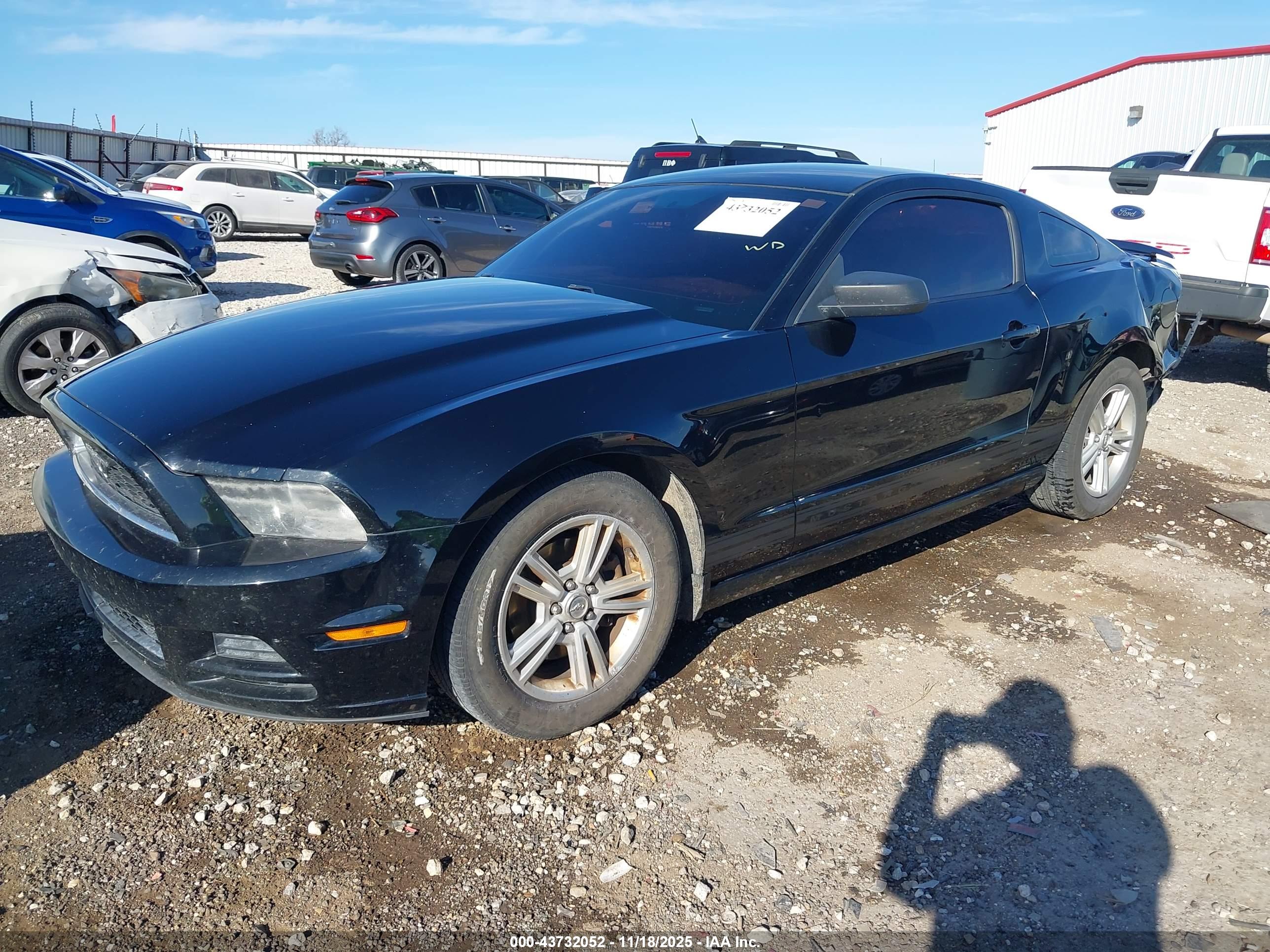 FORD MUSTANG image 2