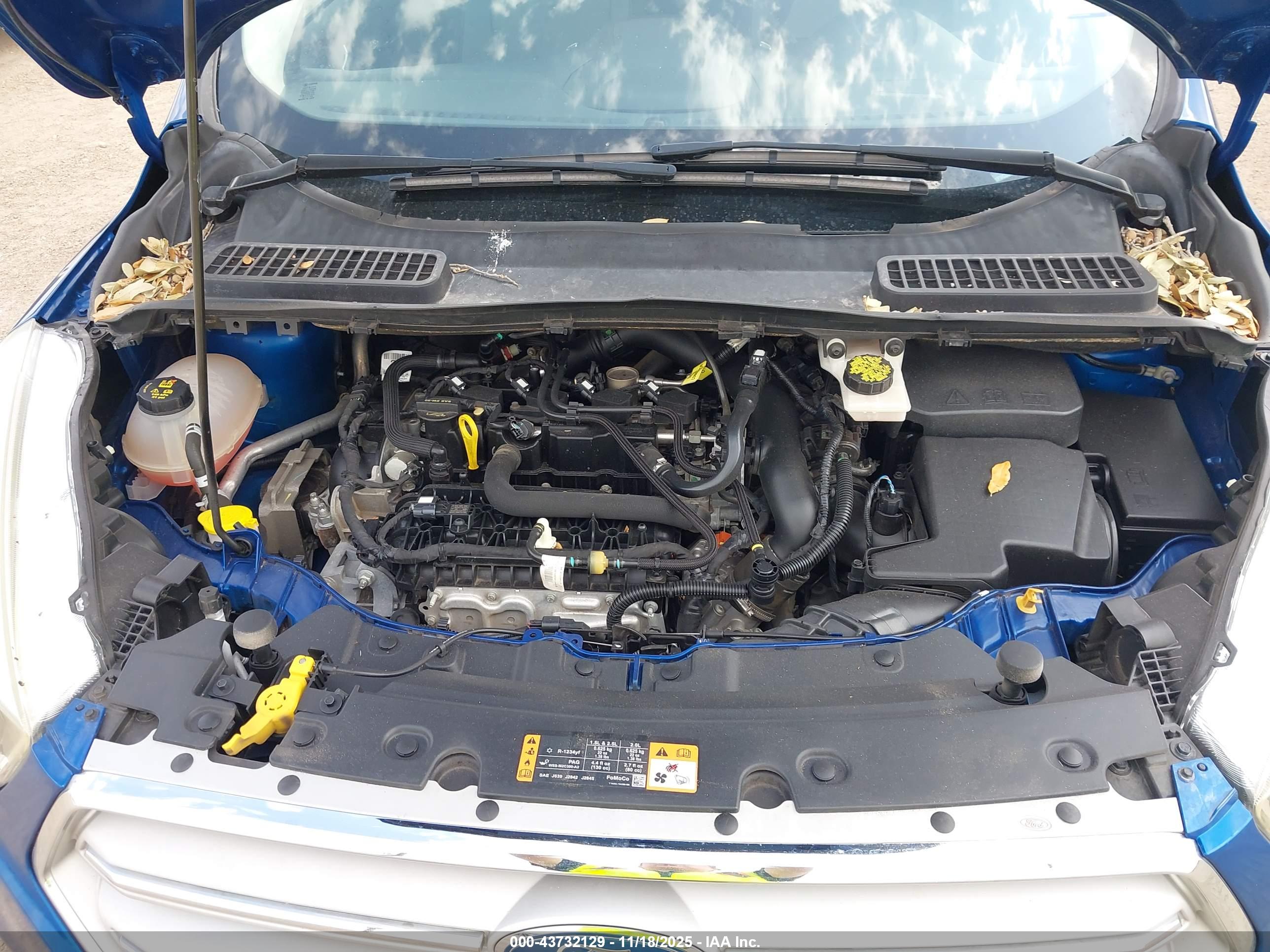 FORD ESCAPE image 10