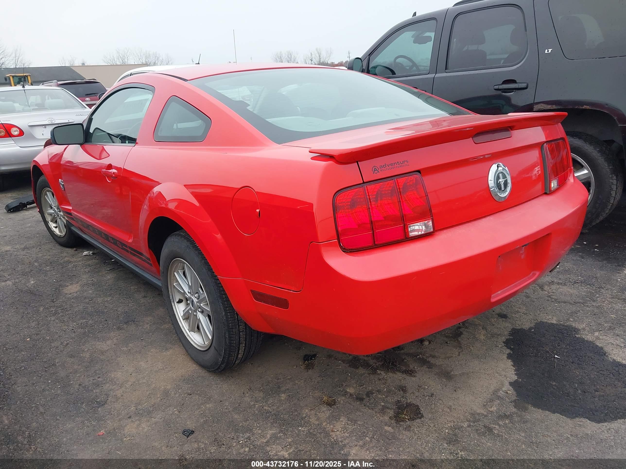 FORD MUSTANG image 3