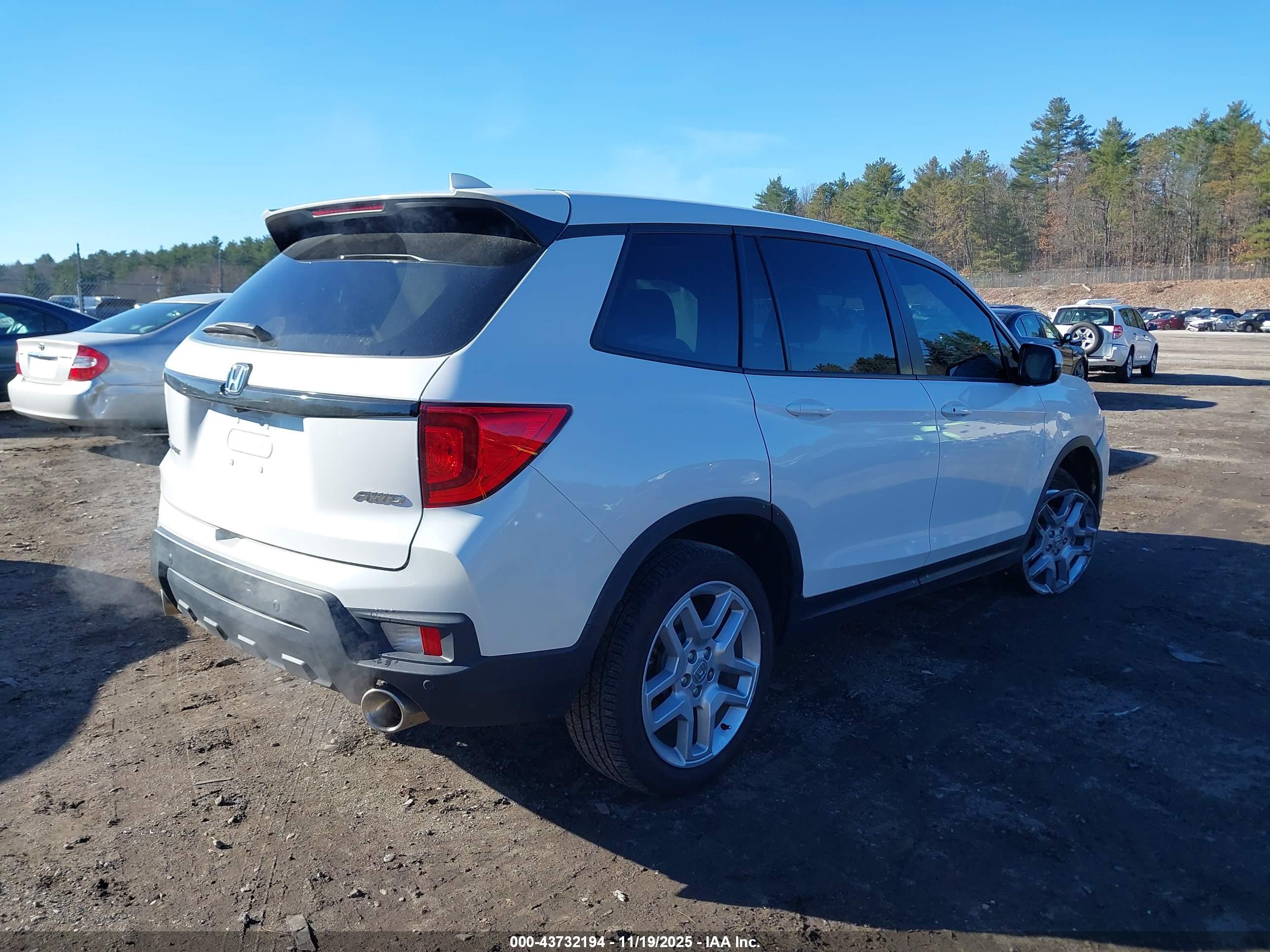 HONDA PASSPORT image 4