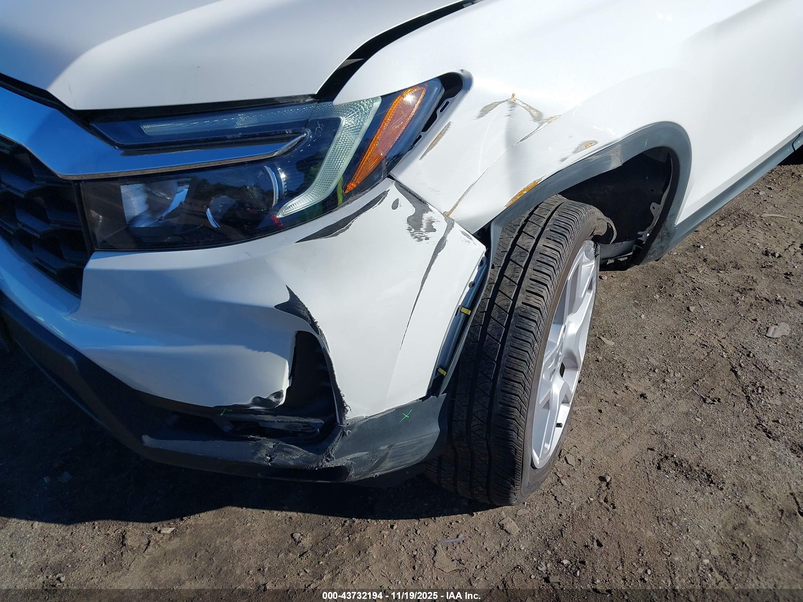 HONDA PASSPORT image 6