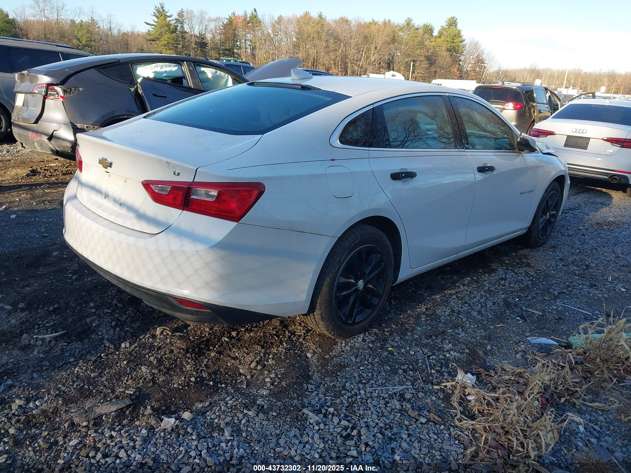 CHEVROLET MALIBU image 4
