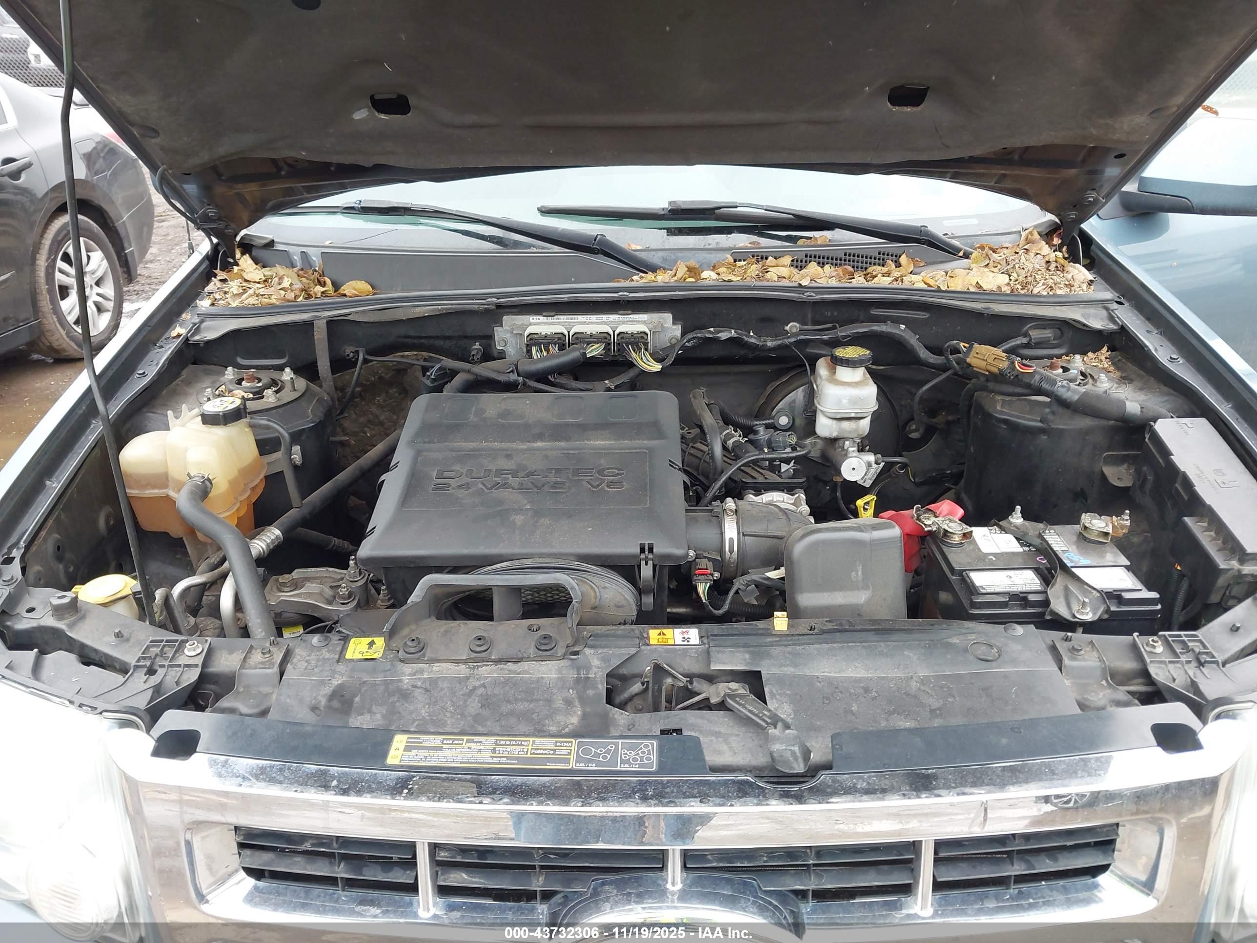 FORD ESCAPE image 10